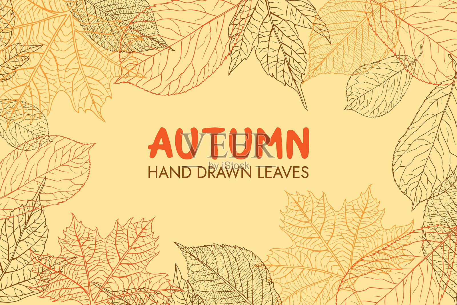 秋叶,手绘,自然,季节背景,矢量插画图片素材