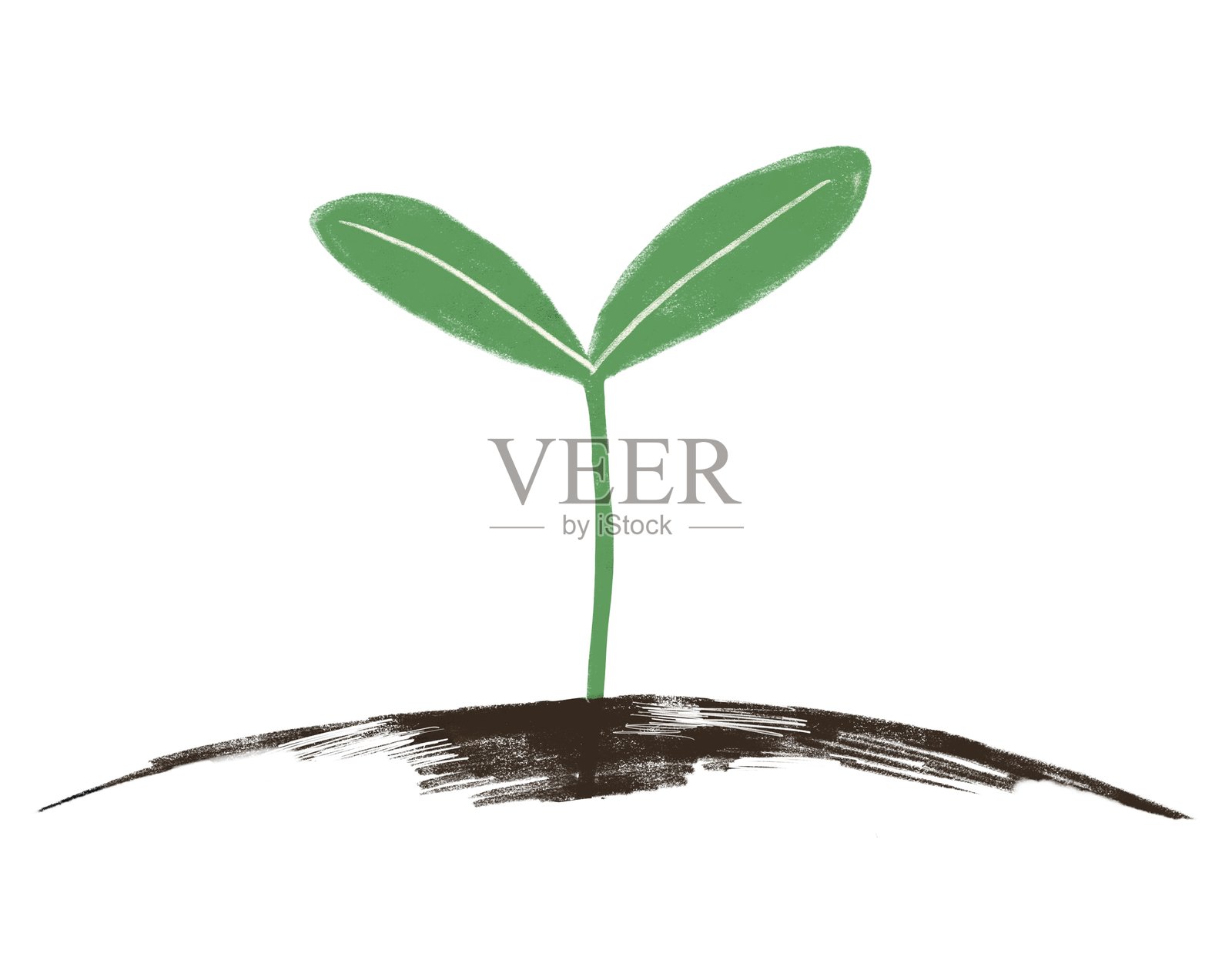 简单芽图插画图片素材