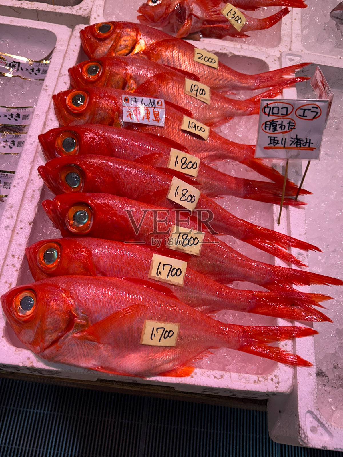 街市红鱼照片摄影图片