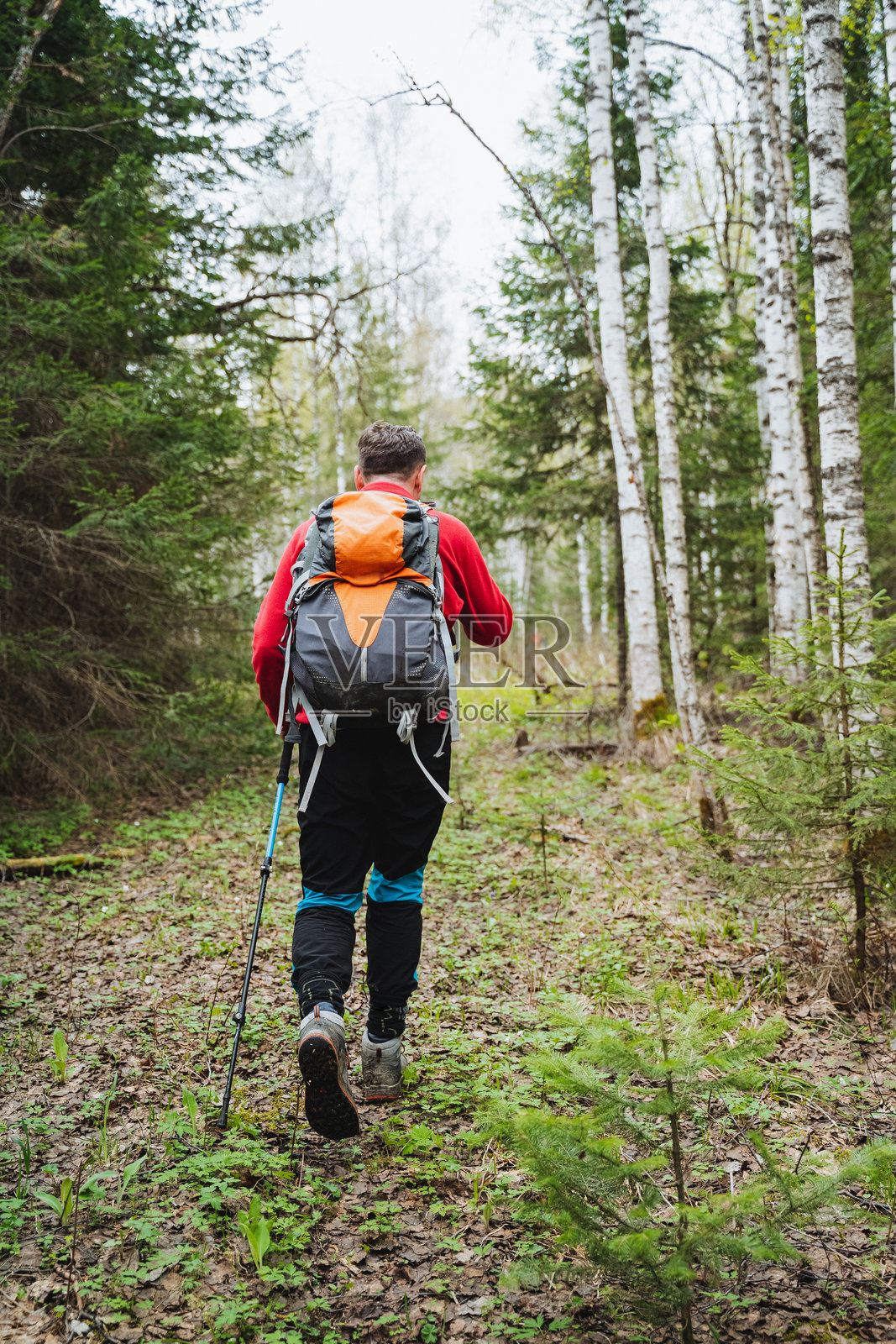 一个徒步旅行者背着背包穿过茂密的森林照片摄影图片
