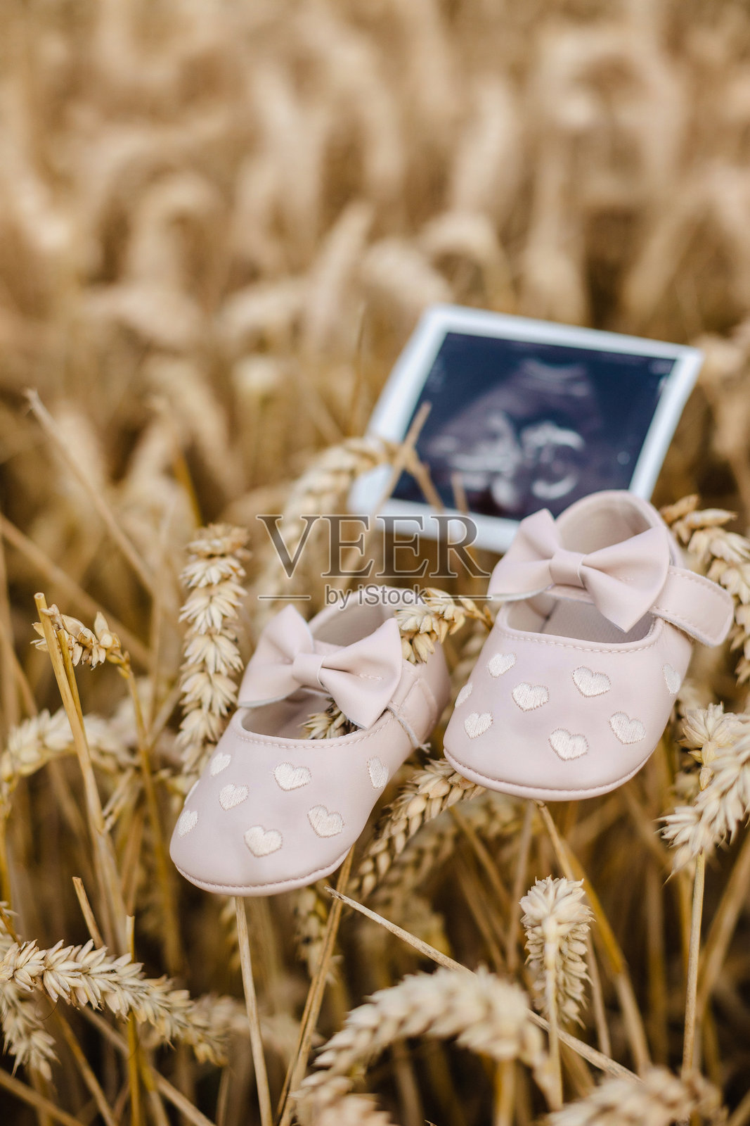 一对心形装饰的婴儿鞋放在麦田里,旁边是婴儿的超声波图像。这个感人的场景象征着新的开始和家庭生活,非常适合孕妇或家庭主题照片摄影图片