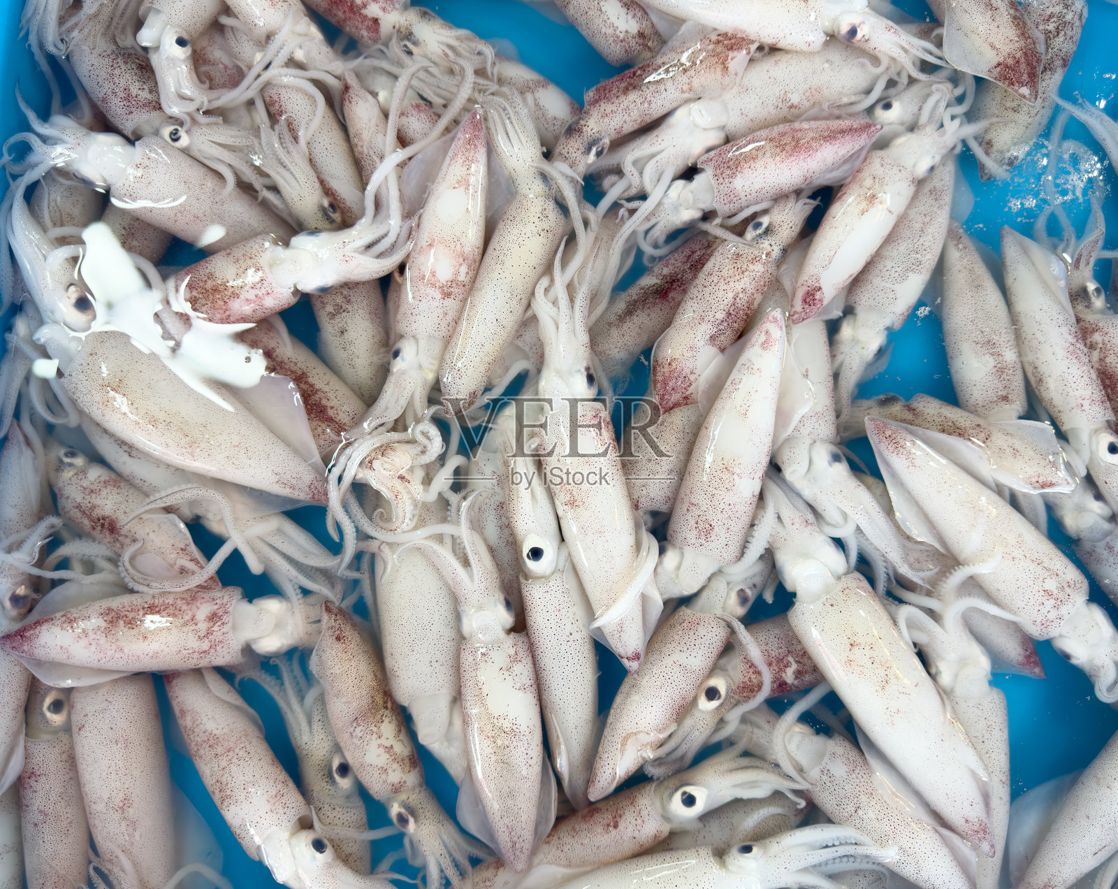 泰国一个传统的亚洲鱼市场,托盘上放着新鲜的白色生鱿鱼,里面装满了黑色墨水照片摄影图片