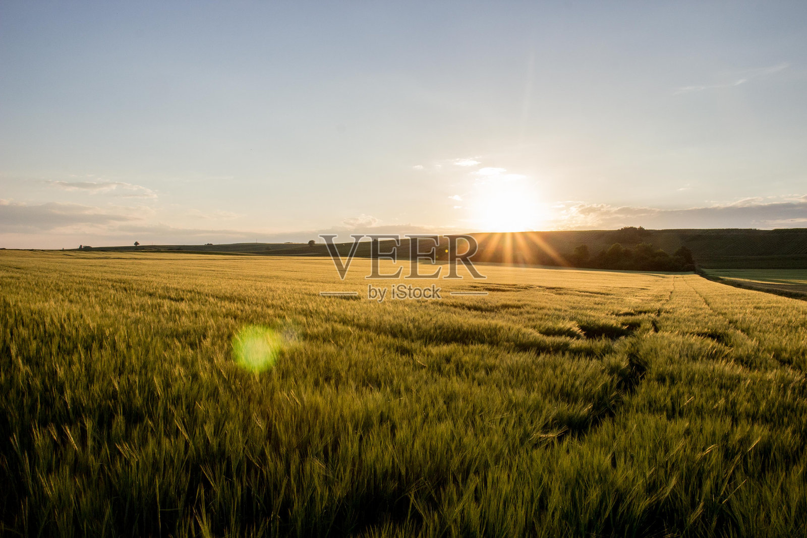 日落时麦田对着天空的风景照片摄影图片