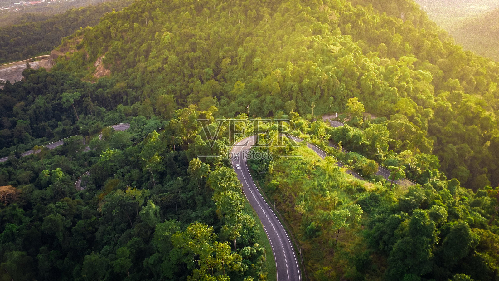 森林中树木间的高视角道路照片摄影图片