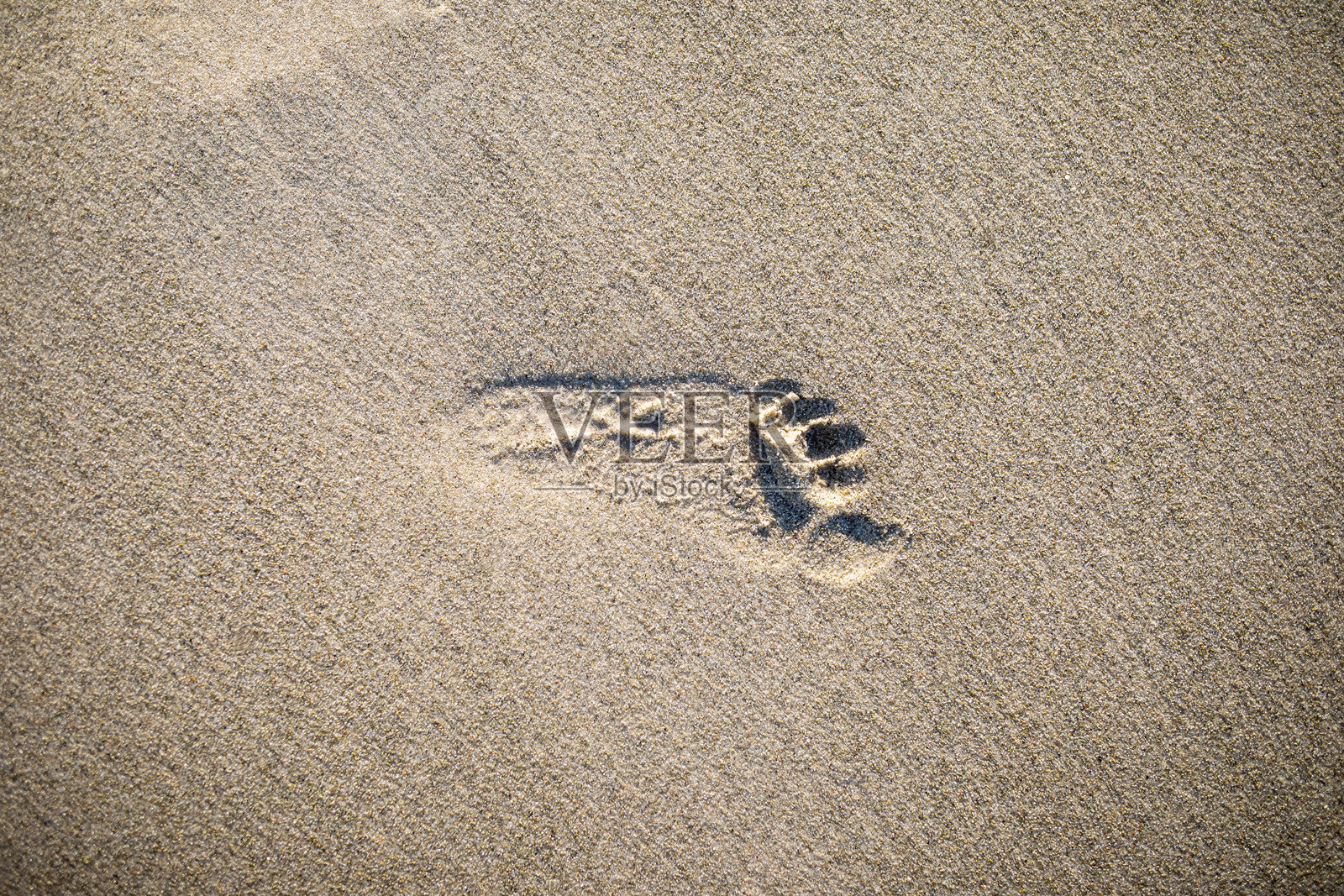沙滩上孩子的脚印。照片摄影图片
