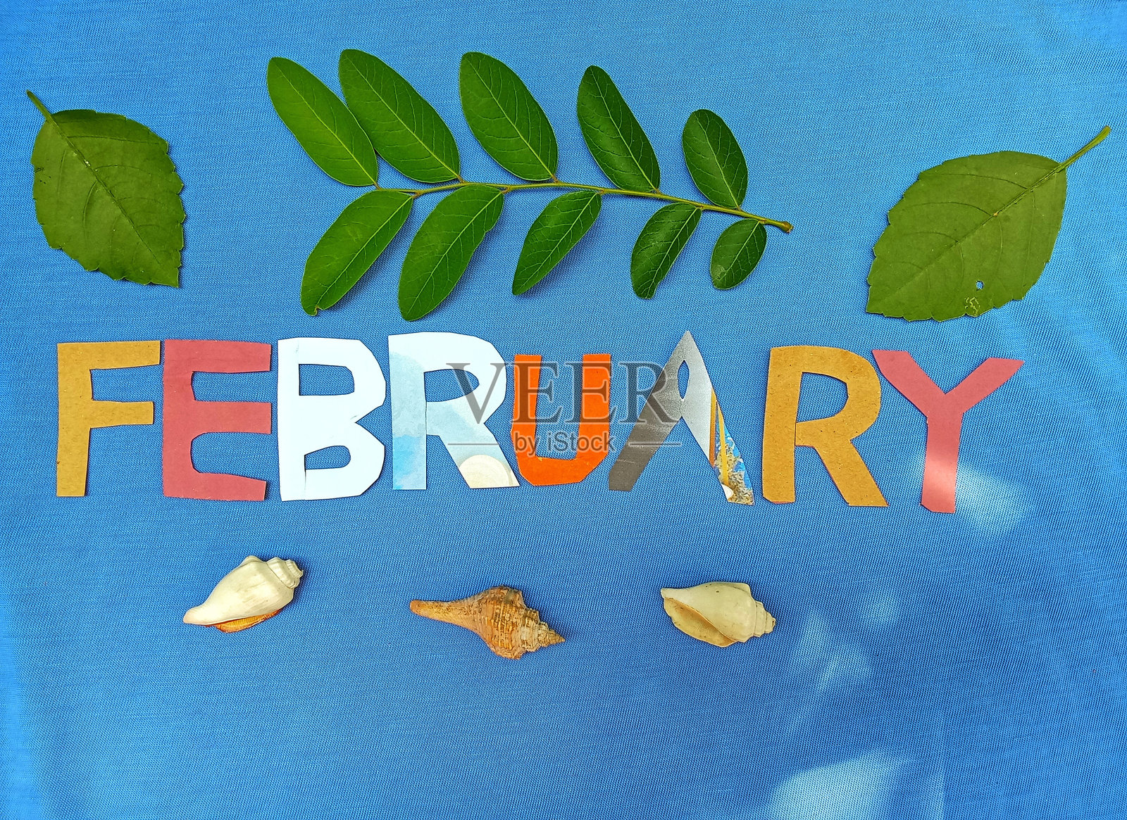 月2月照片摄影图片