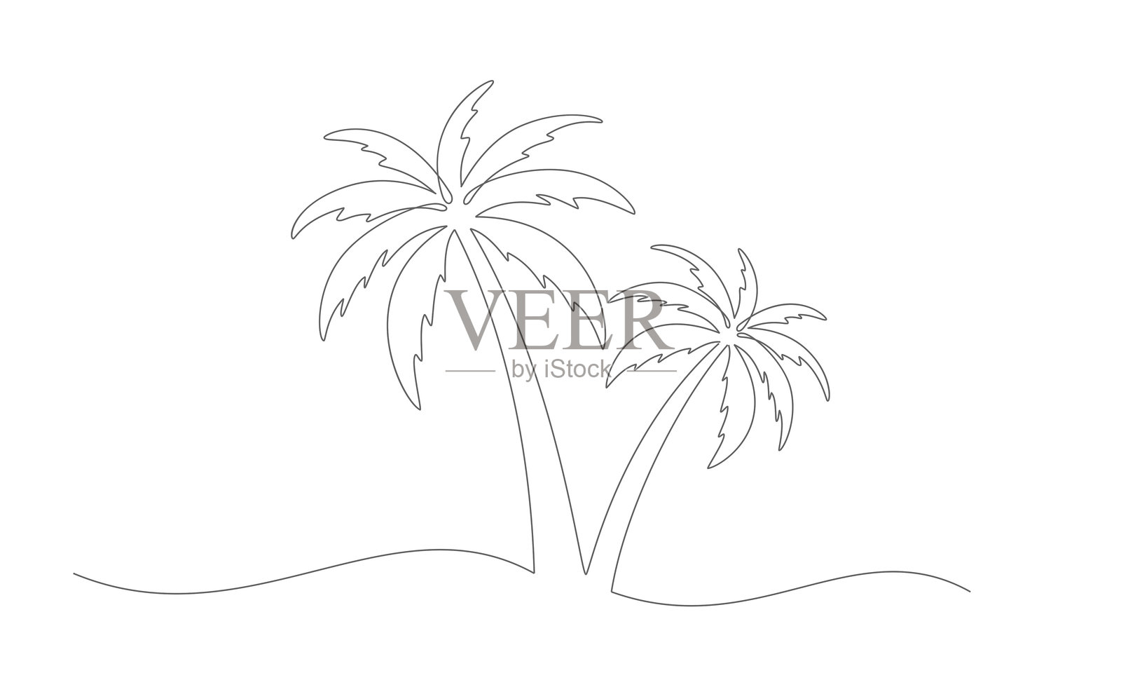 棕榈插画图片素材