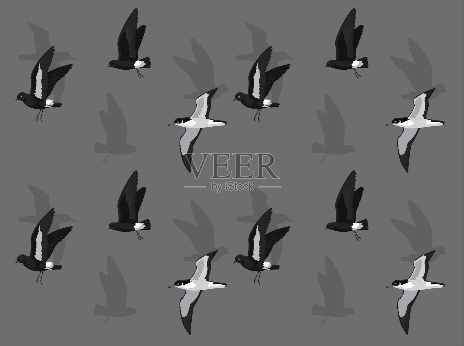 鸟海鸥风暴海燕卡通可爱无缝壁纸背景插画图片素材