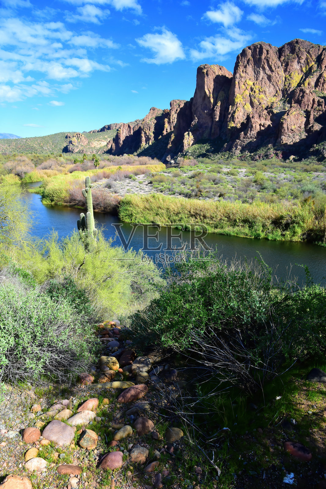 亚利桑那州盐河娱乐区照片摄影图片