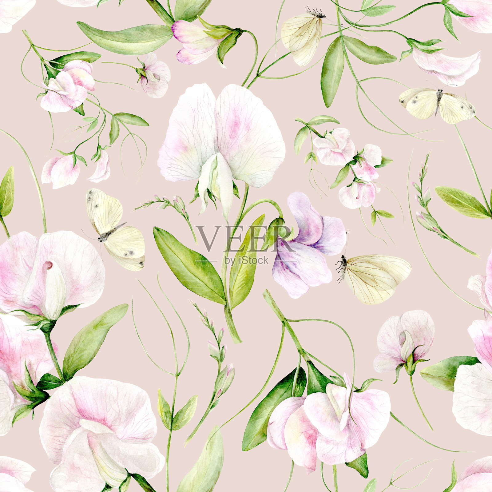 无缝图案的水彩花香豌豆和蝴蝶。插图是用柔和的颜色手绘的。适用于卡片设计,纺织品和剪贴簿。插画图片素材