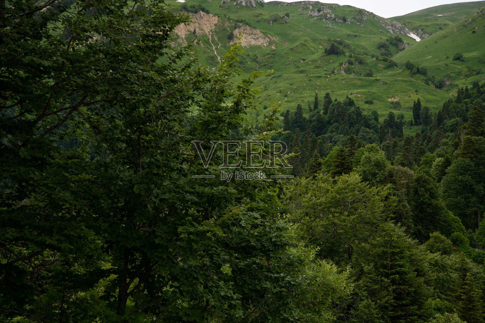 早春美丽的山景。照片摄影图片