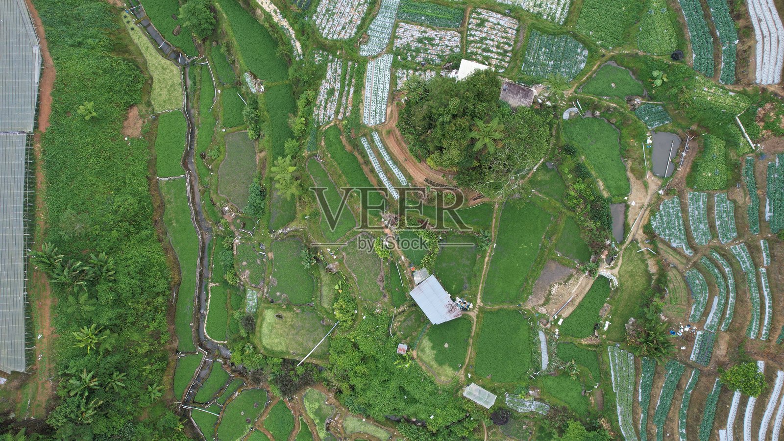 马来西亚金马仑高原地区Brinchang地区的总体景观照片摄影图片