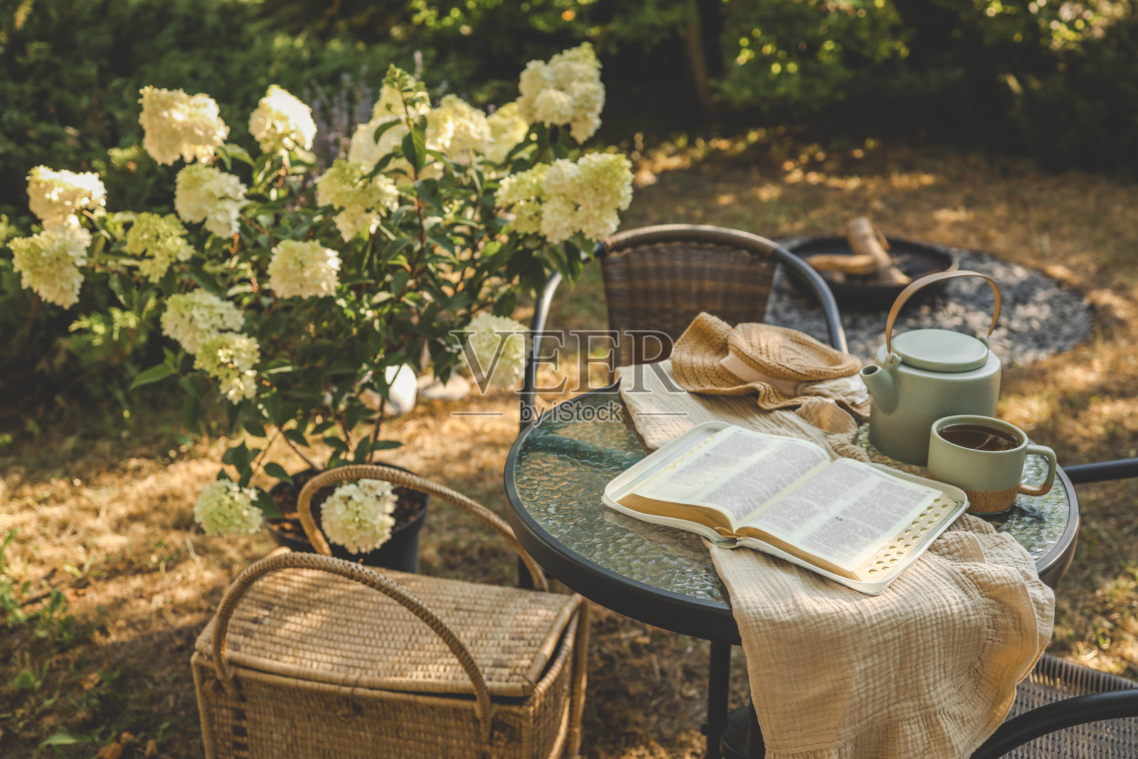 在花园的桌子上圣经,晨祷和敬拜照片摄影图片