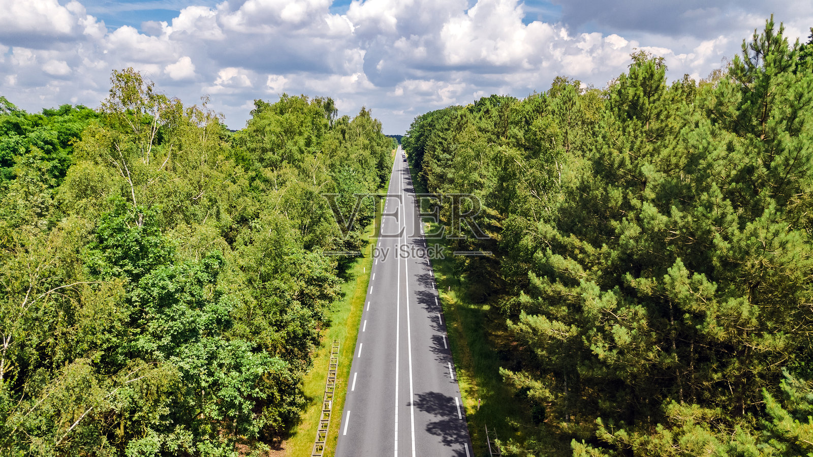 绿色森林中汽车道路的航拍无人机视图,从上方俯瞰景观照片摄影图片