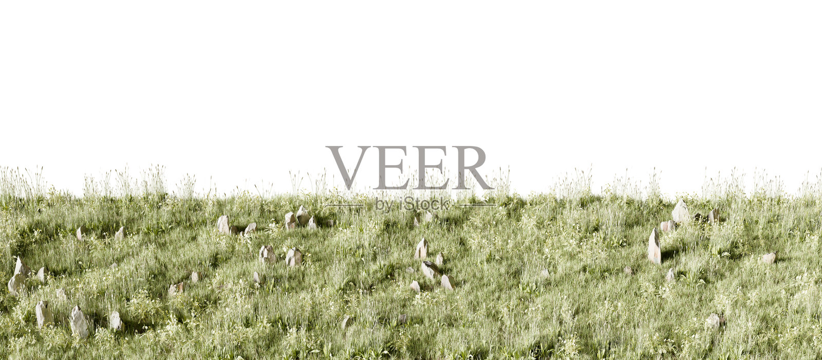 草或草坪与石头和鲜花PNG隔离在透明的背景。三维渲染照片摄影图片