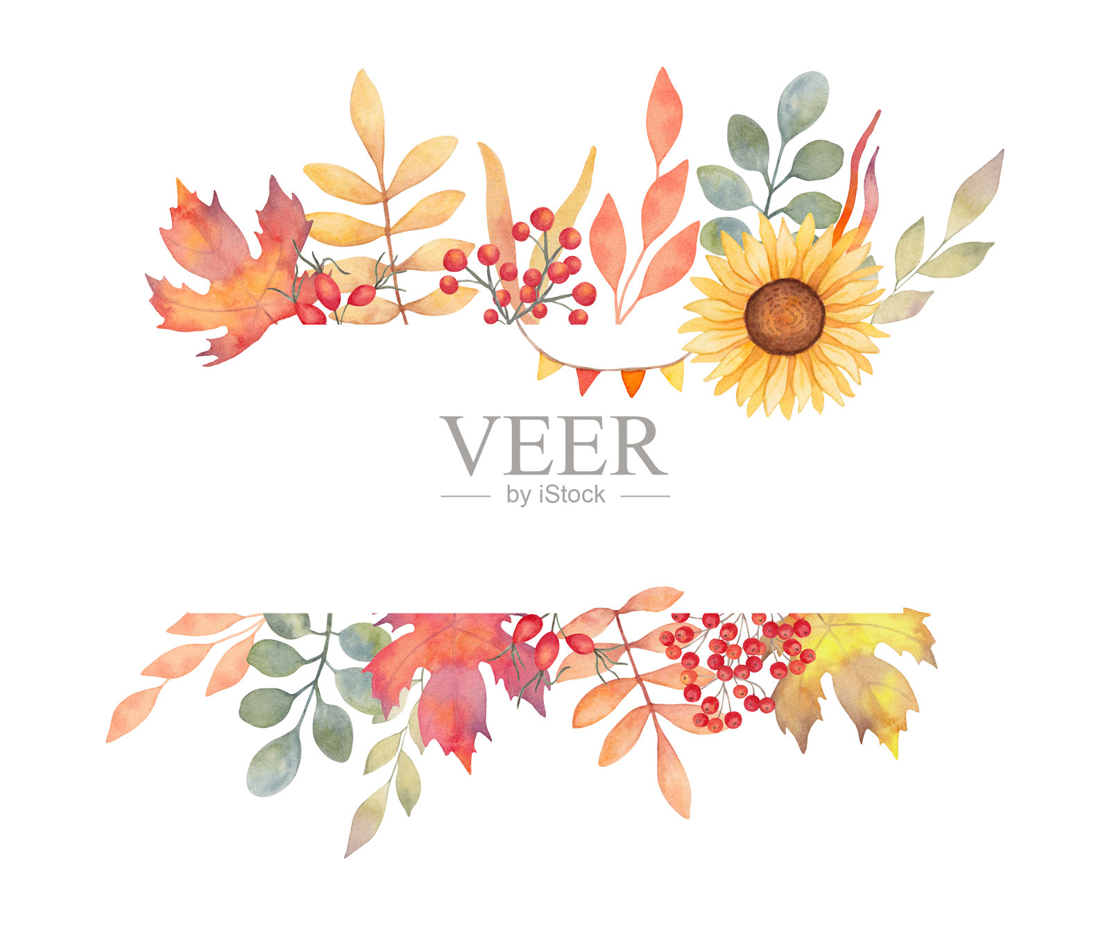 水平秋叶框架与rowan浆果,玫瑰果,向日葵和花环。水彩插图。手绘植物艺术。邀请函的背景,感恩节的名言,丰收插画图片素材