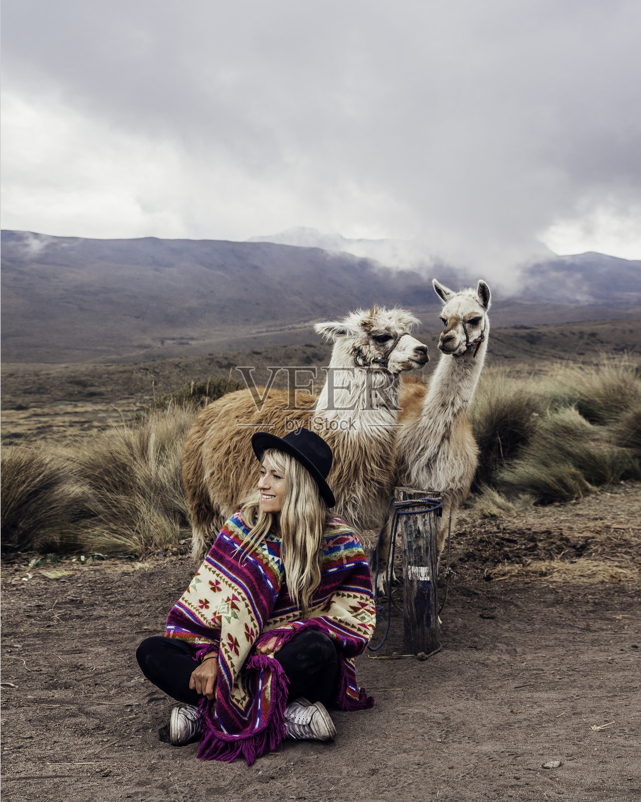 戴着帽子的女人坐在陆地上的大羊驼旁边照片摄影图片