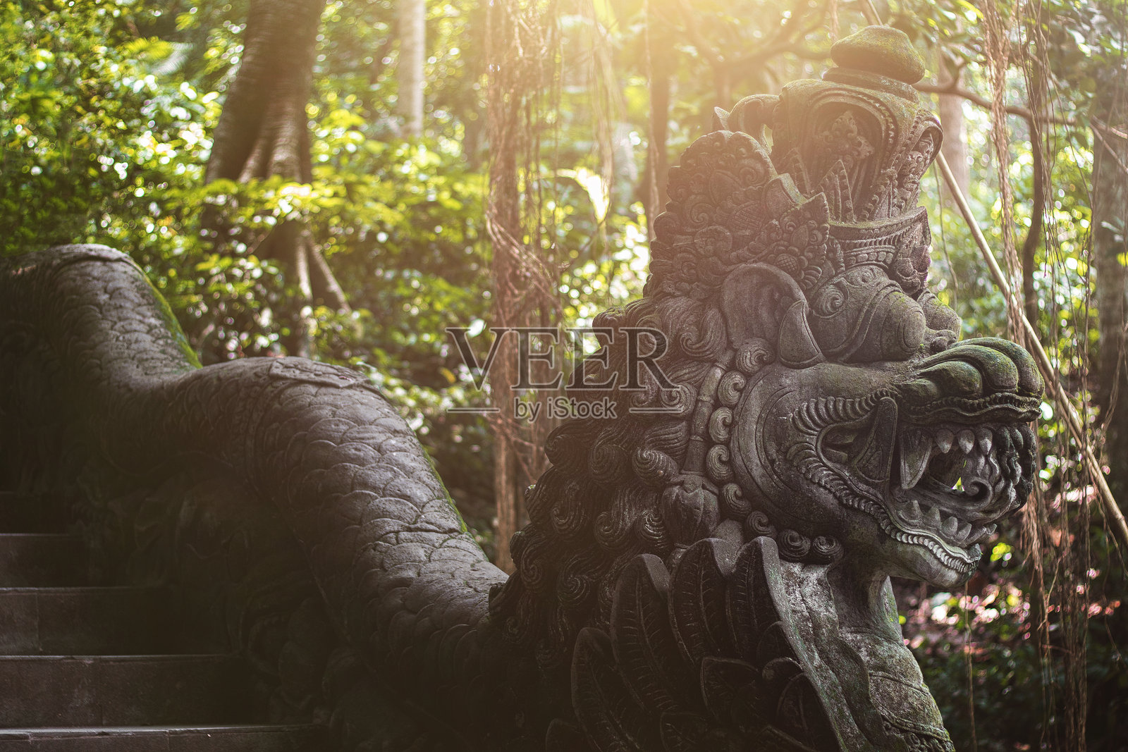 一个复杂和详细的石头守护雕像位于郁郁葱葱的丛林环境照片摄影图片