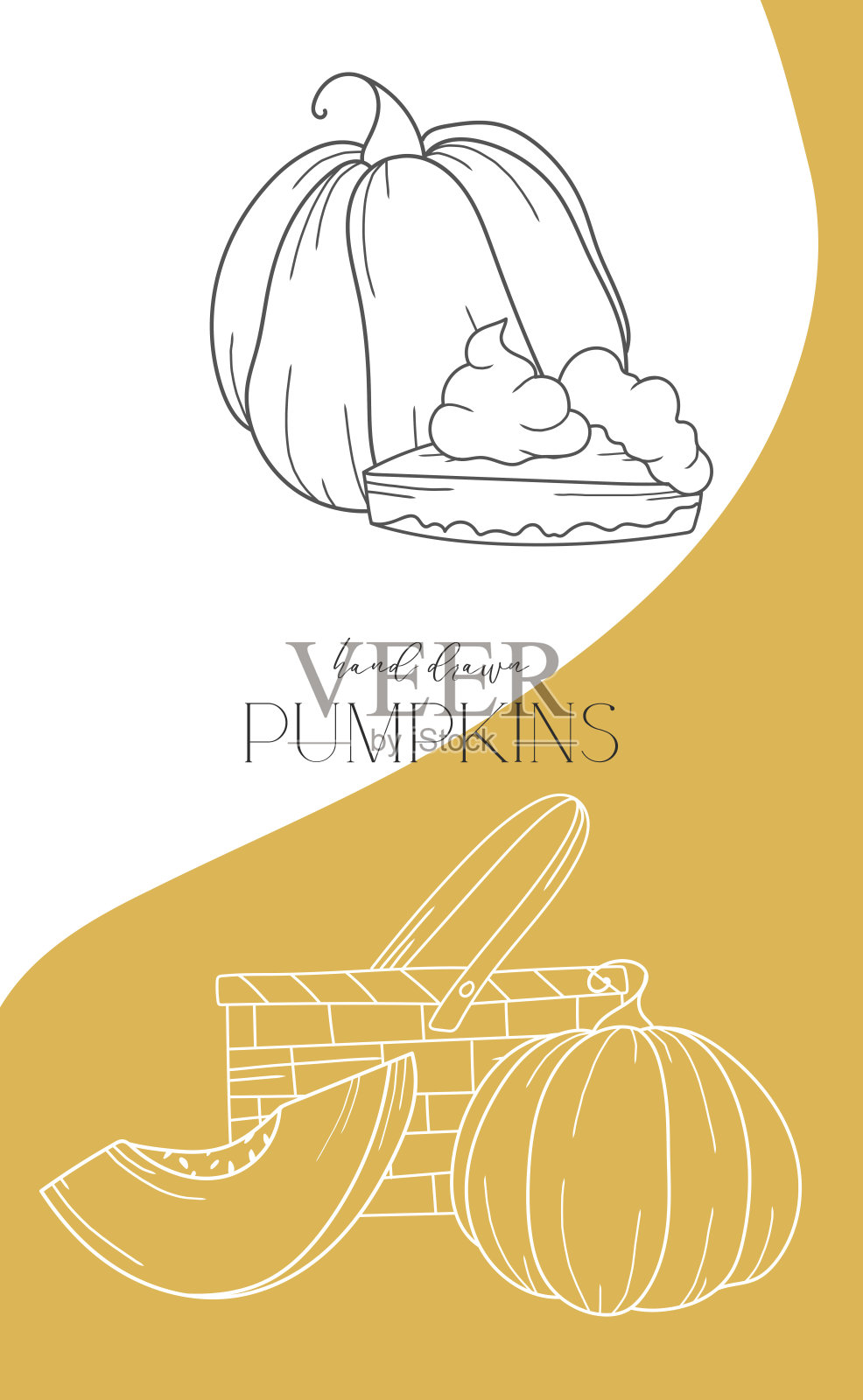 在白色上孤立的南瓜轮廓。南瓜线艺术插图。秋天南瓜手绘。秋天着色页。感恩节的图形插画图片素材
