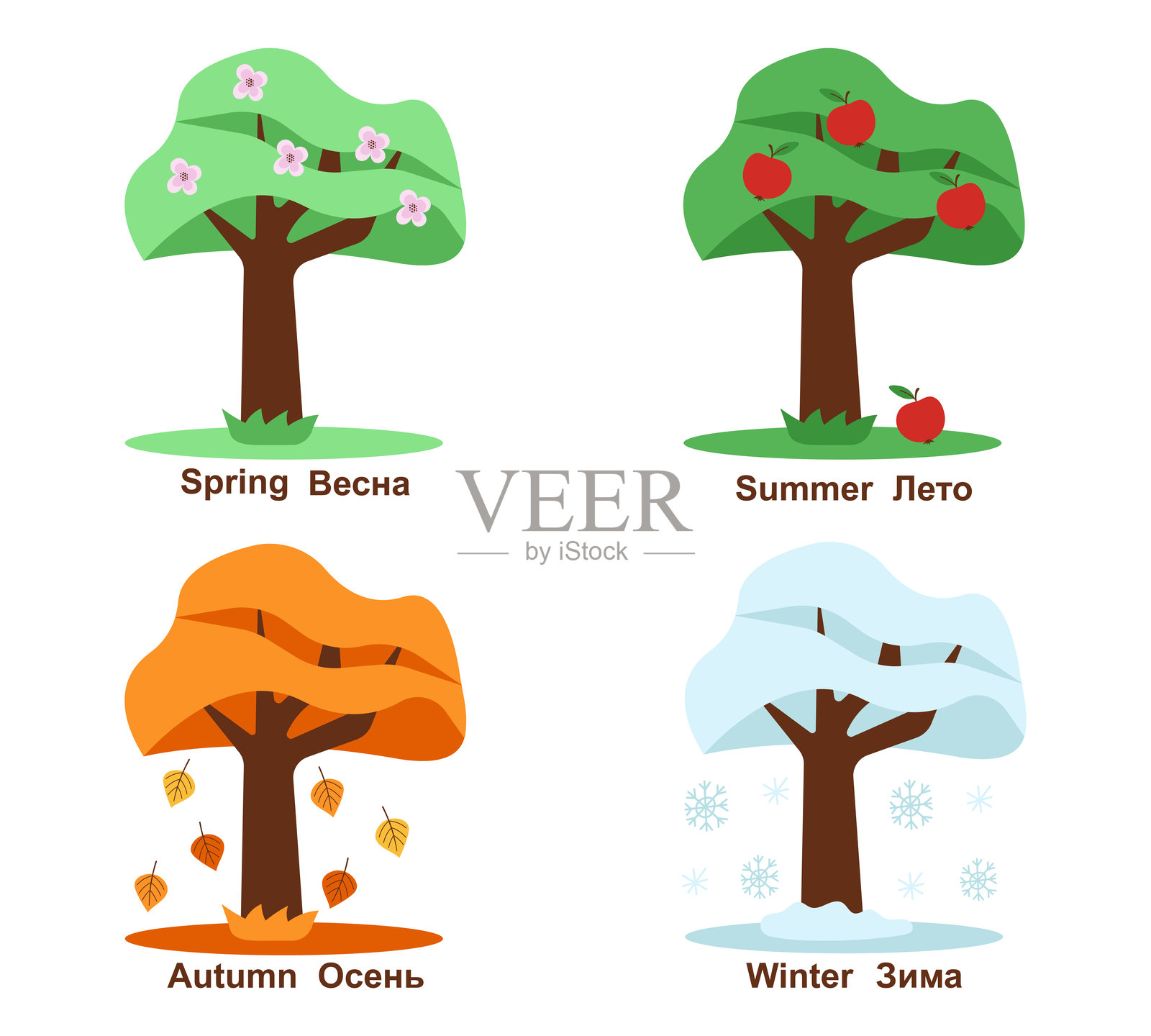 一组四季分明的树木。秋天,冬天,春天,夏天。树木在不同季节的矢量插图插画图片素材