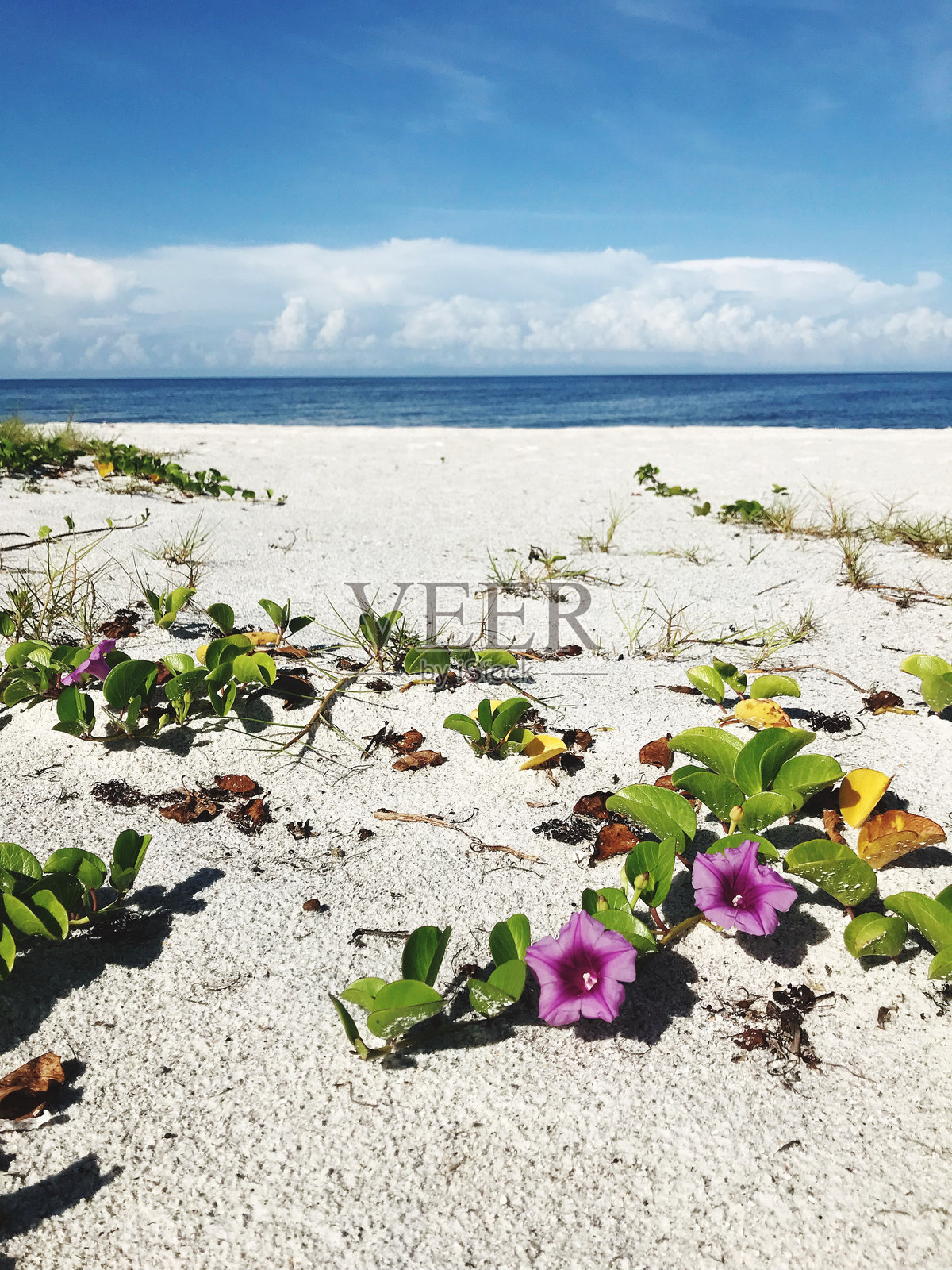 多云天空下的海景照片摄影图片