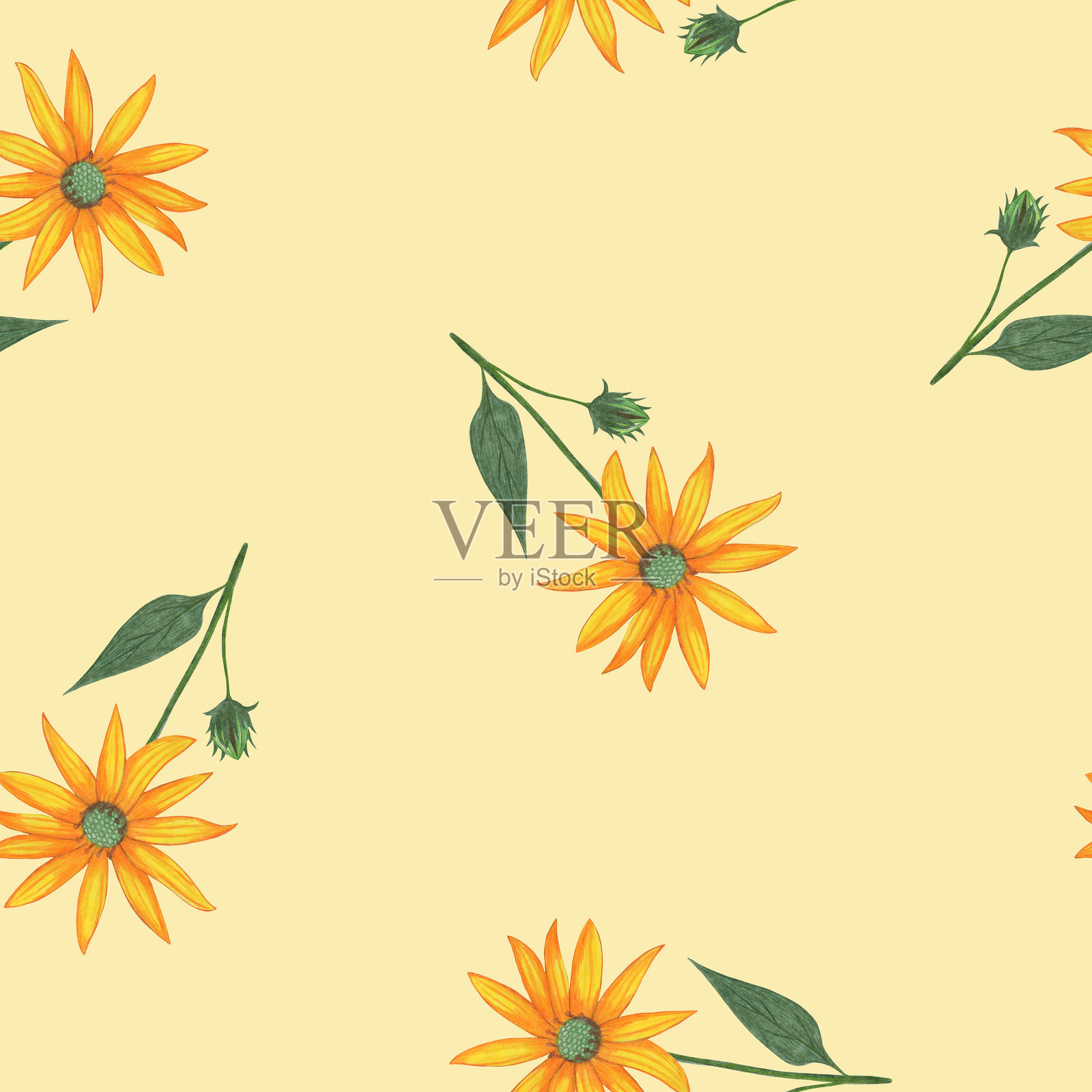 Topinambur花无缝图案。花卉数码纸。插画图片素材