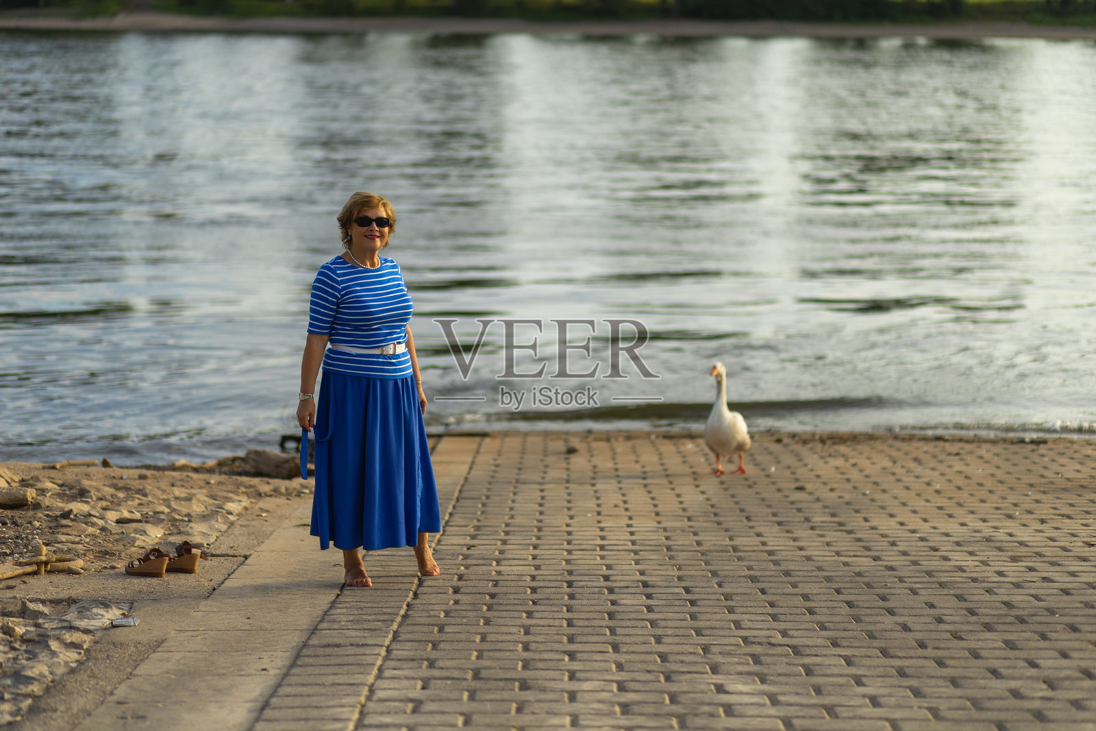 一个穿蓝裙子的女人走在水边,手里拿着一只鹅照片摄影图片