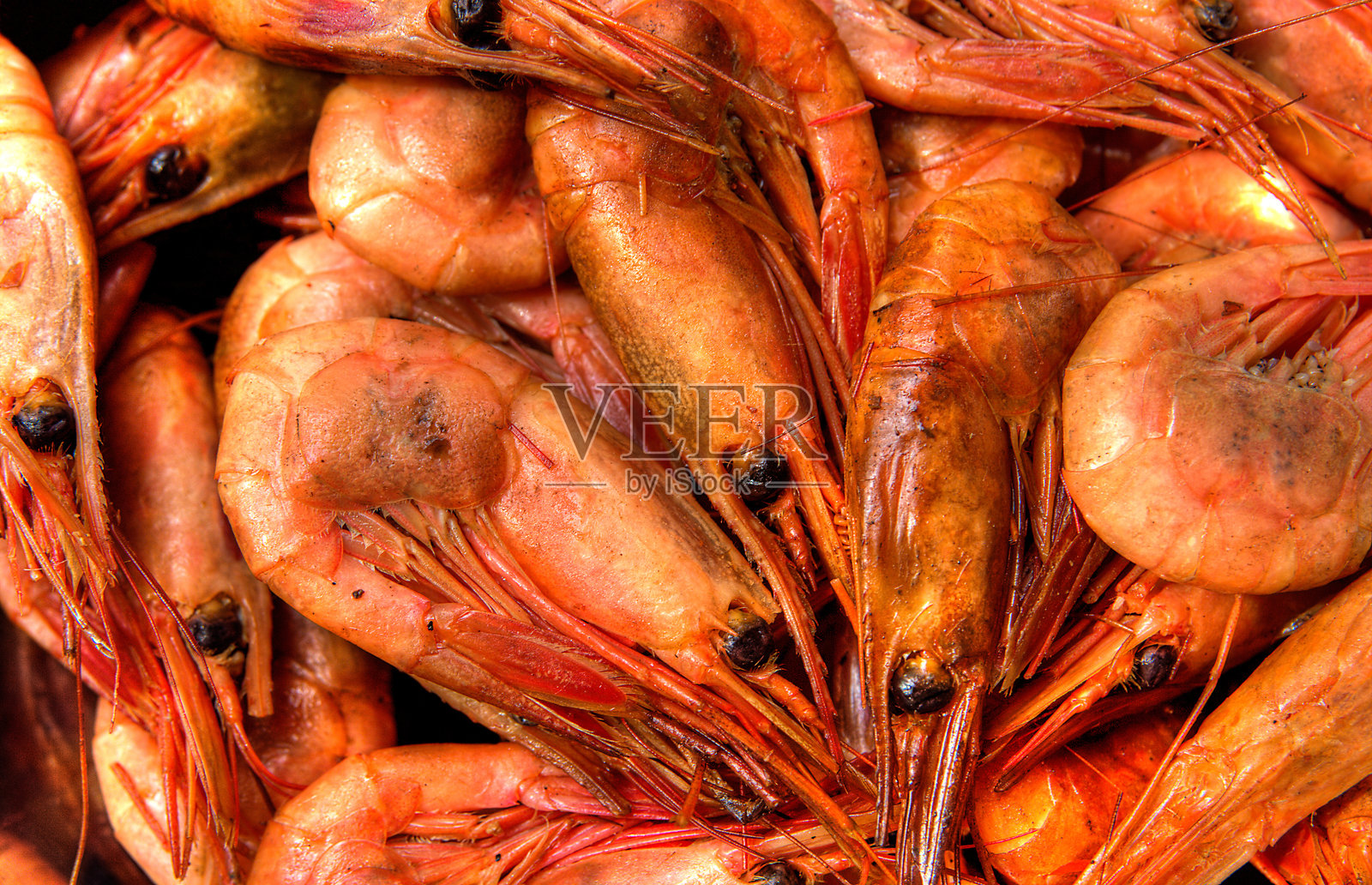 全画幅拍摄的虾在市场照片摄影图片