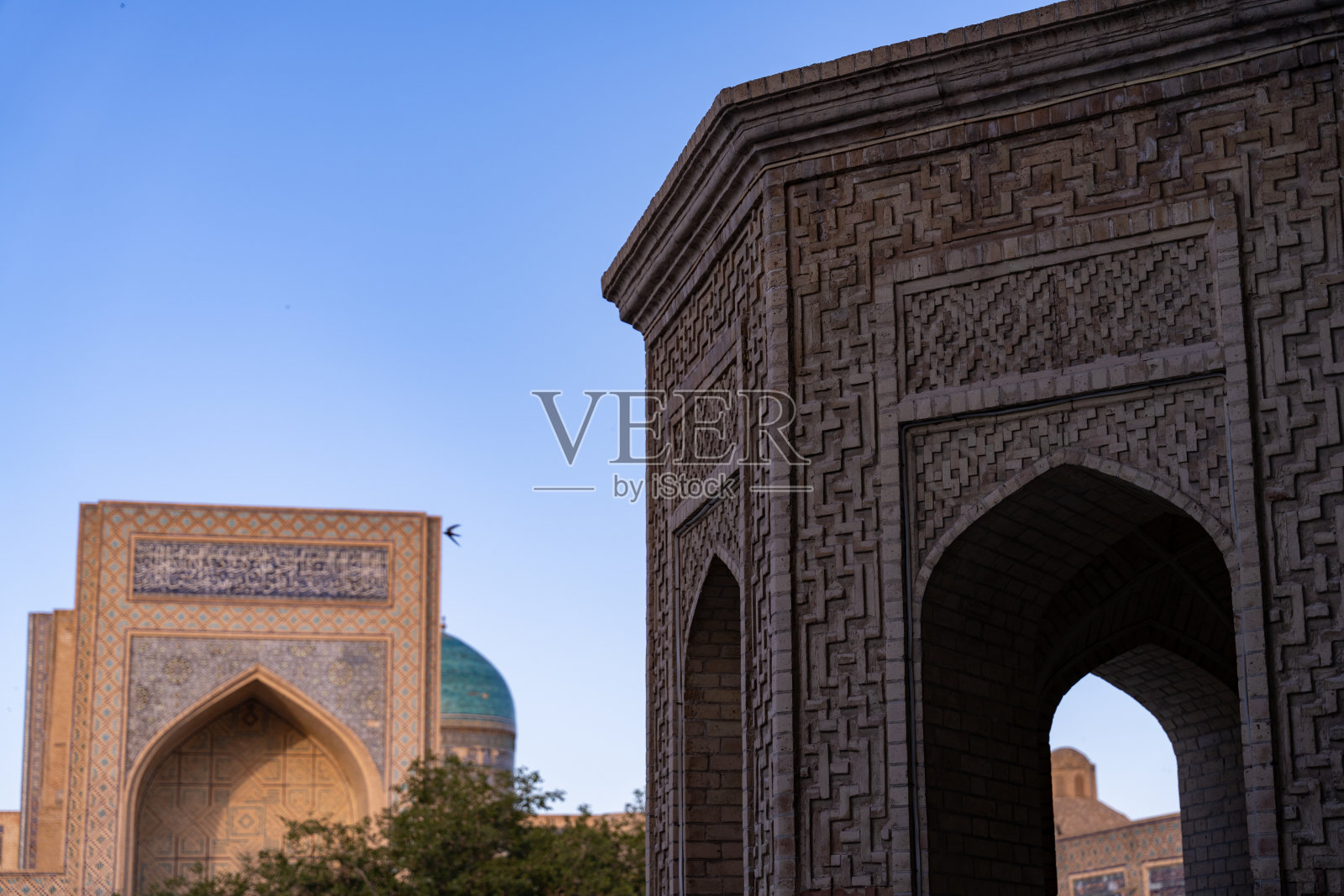 有蓝色圆顶和大拱门的建筑物。拱门是开放的,建筑被树木环绕照片摄影图片