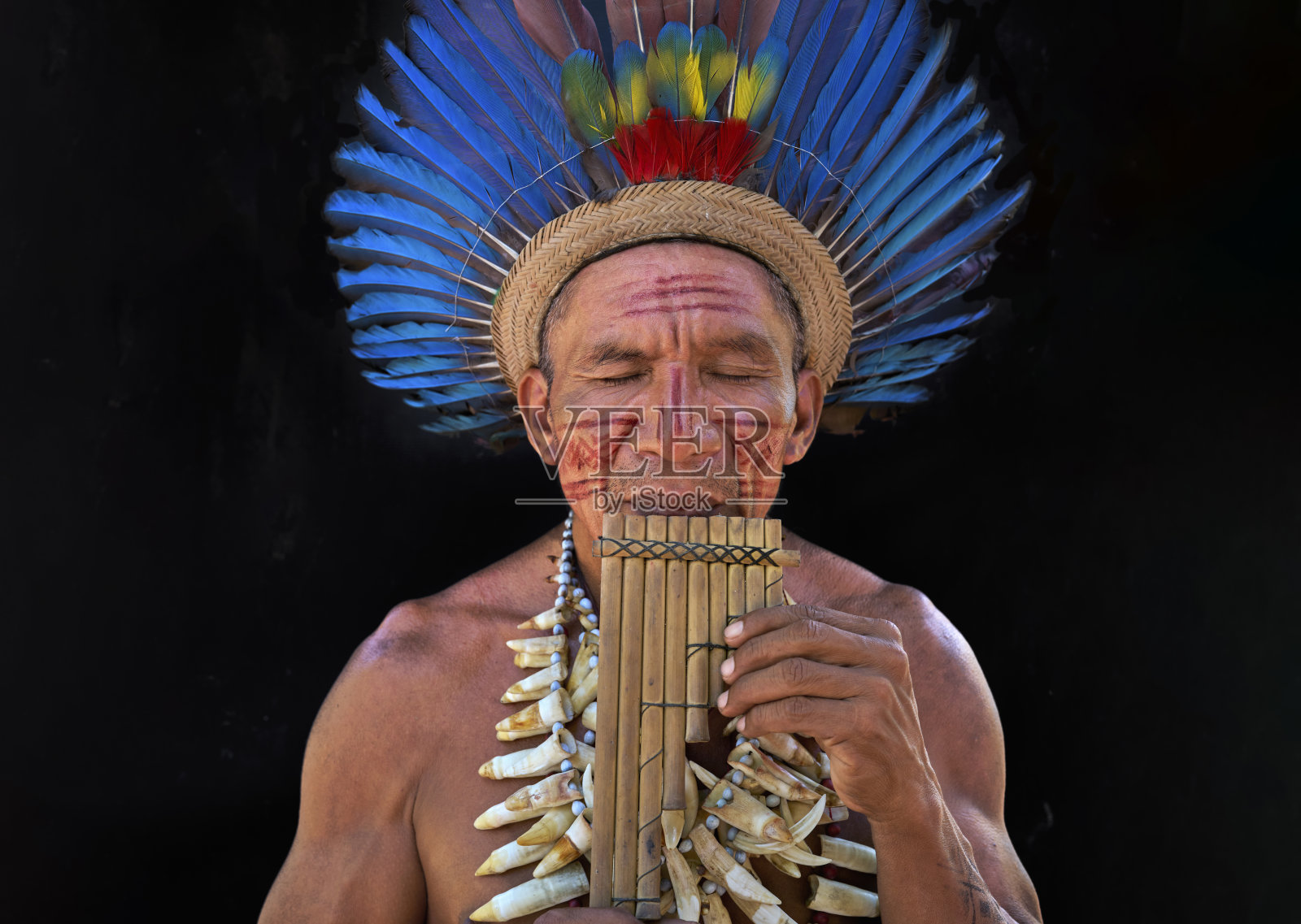 一个来自巴西亚马逊的土著男子在吹他的木制口琴的特写。音乐是他的爱好。照片摄影图片