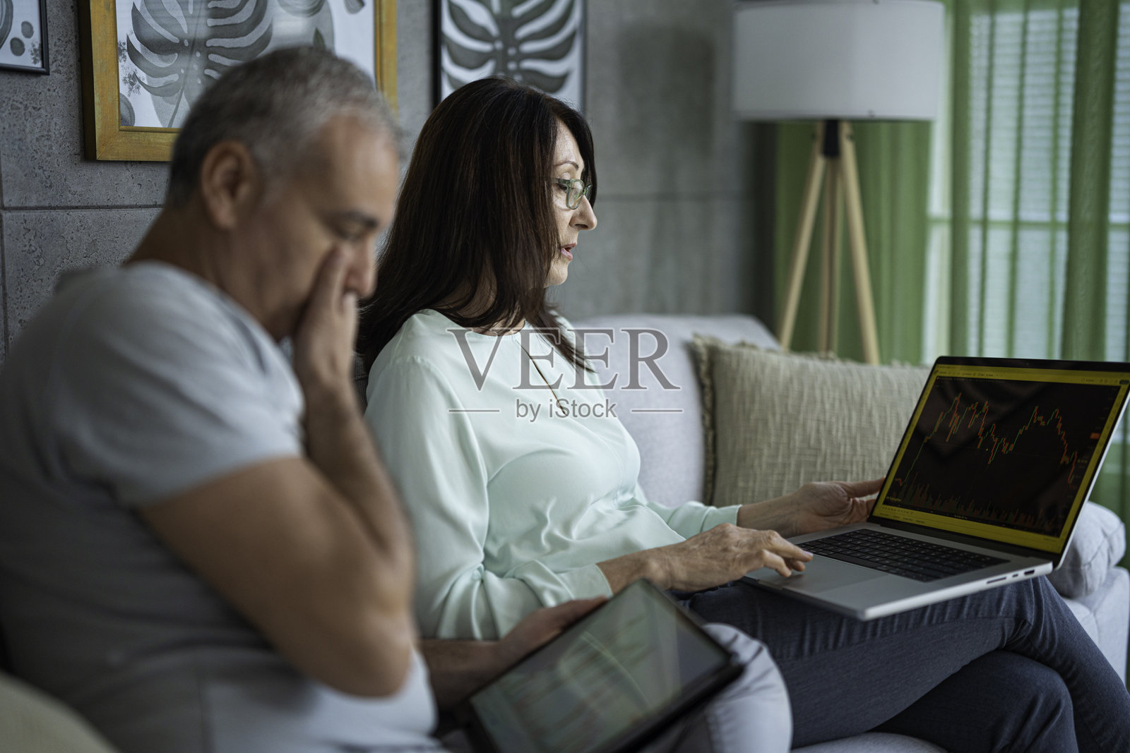 股票交易和聪明的投资。个人财务管理。照片摄影图片