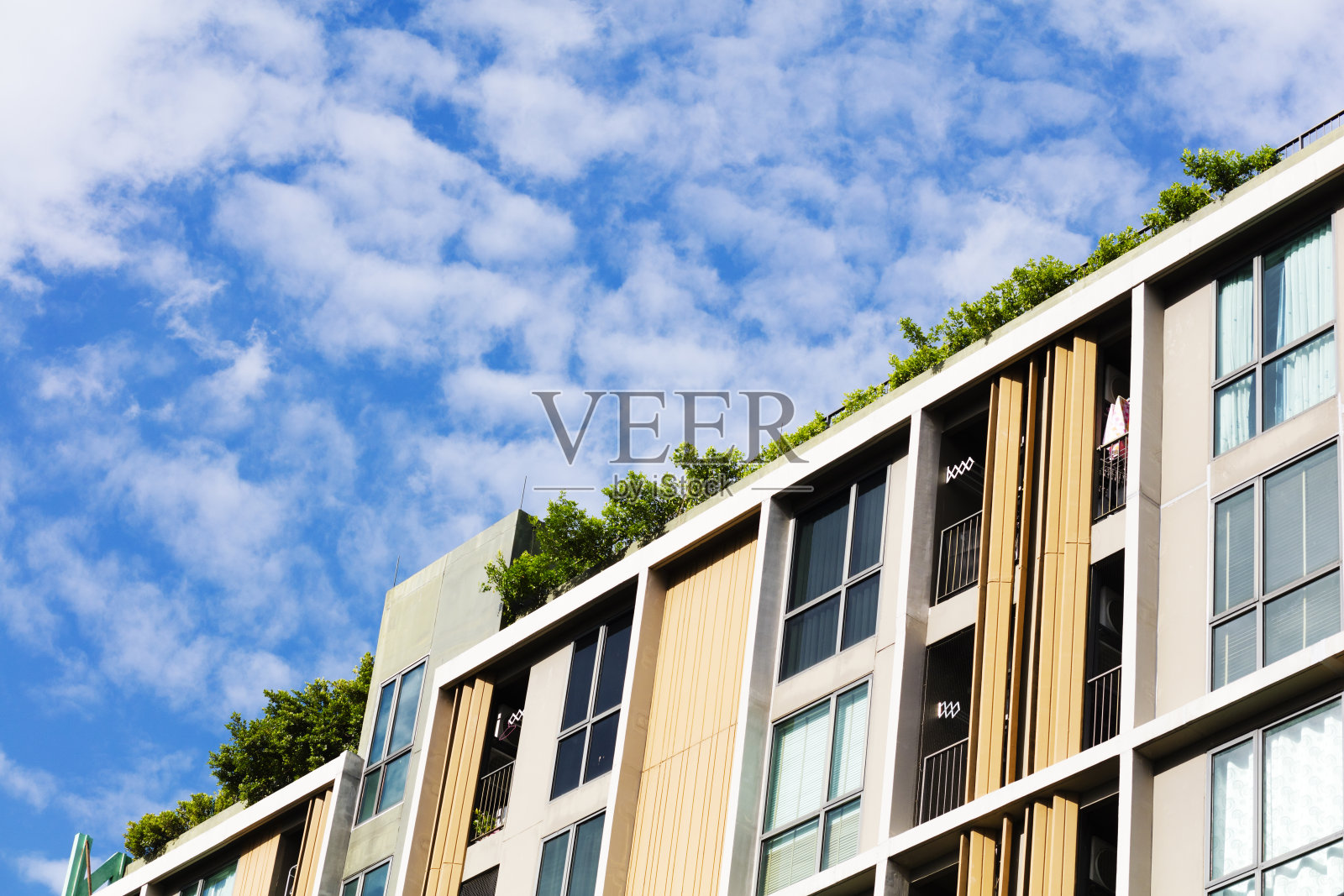 多公寓公寓的屋顶花园照片摄影图片