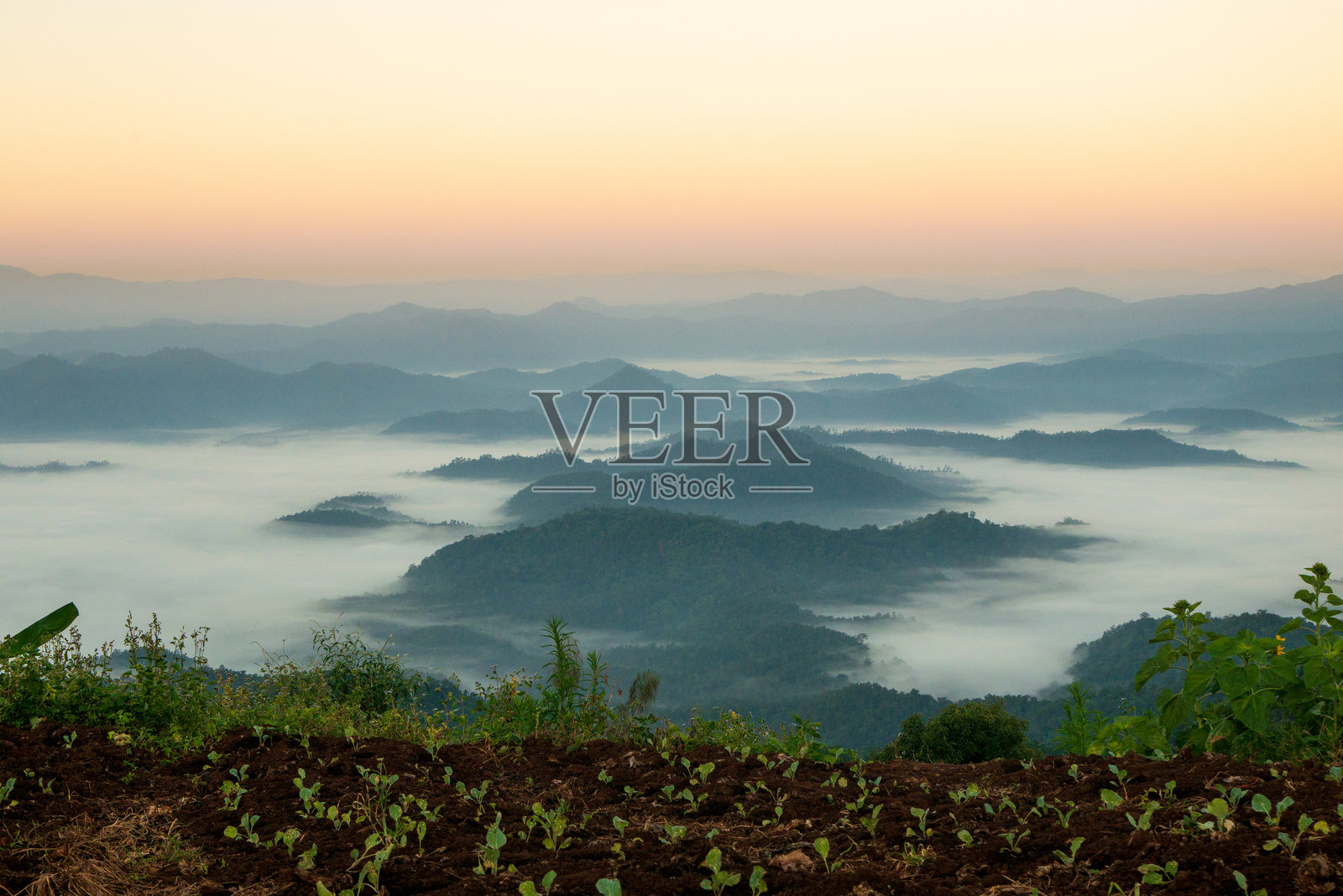 美丽的山景多雾多风的山脉绿色景观亚洲农场。惊人的景观山绿田野草地白云蓝天日出。乡村阳光天堂风景照片摄影图片