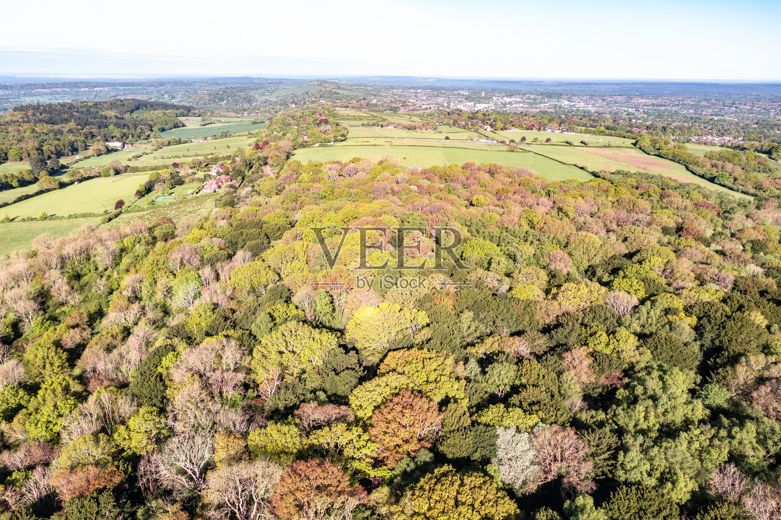 五彩缤纷的森林鸟瞰图萨里英格兰照片摄影图片