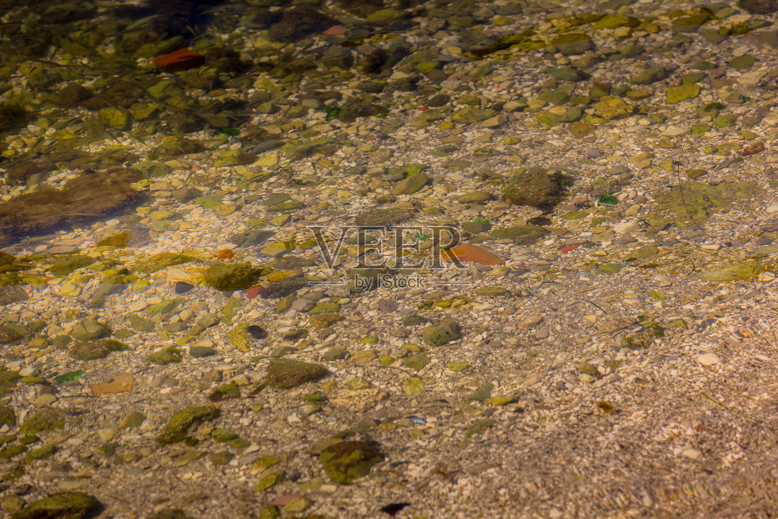 海上水下背景照片摄影图片