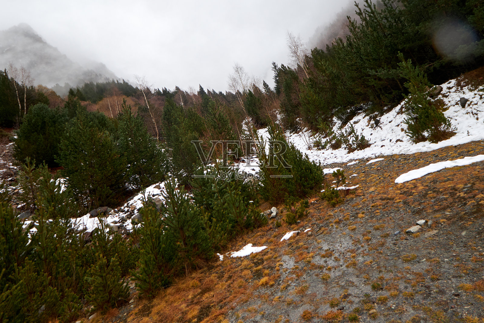 LADERA蒙大拿照片摄影图片