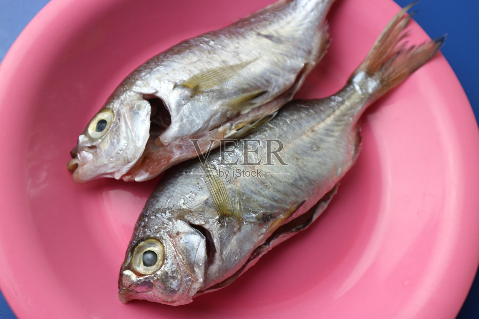 粉红色盘子里盛着鲜鱼照片摄影图片