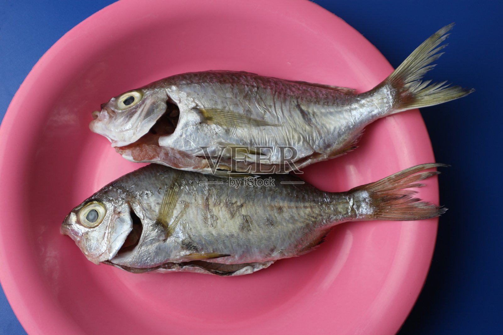 粉红色盘子里盛着鲜鱼照片摄影图片