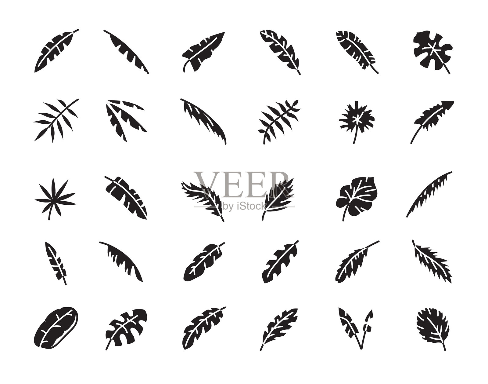 叶子图标集具有各种叶子形状和纹理,矢量插图插画图片素材