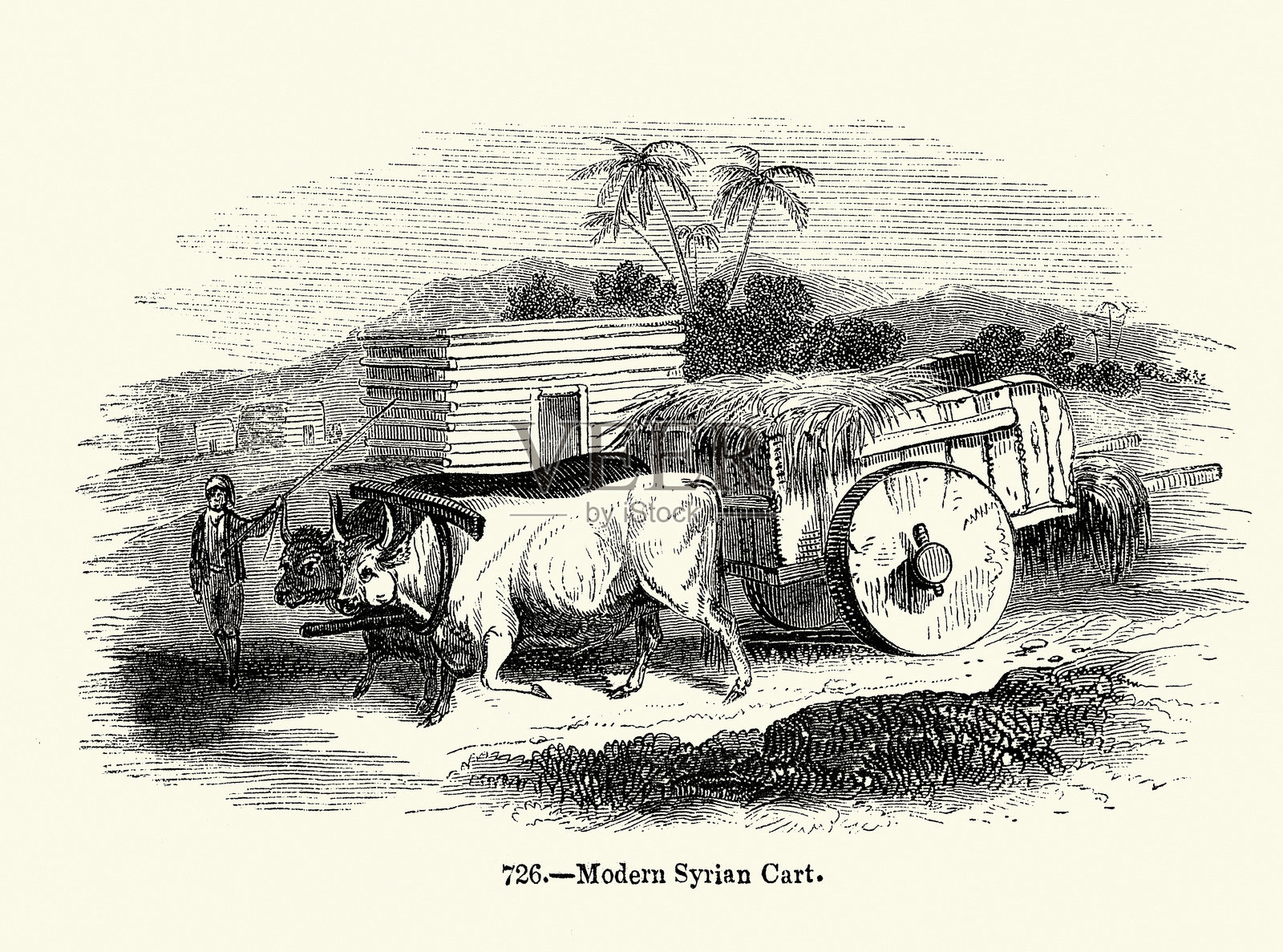 19世纪,叙利亚,农民用牛拉的马车运送干草插画图片素材