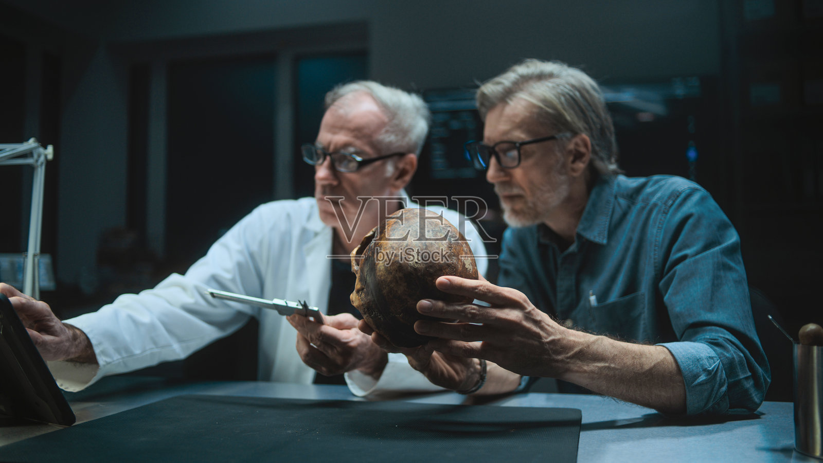 两位考古学家测量化石头骨,用平板电脑照片摄影图片