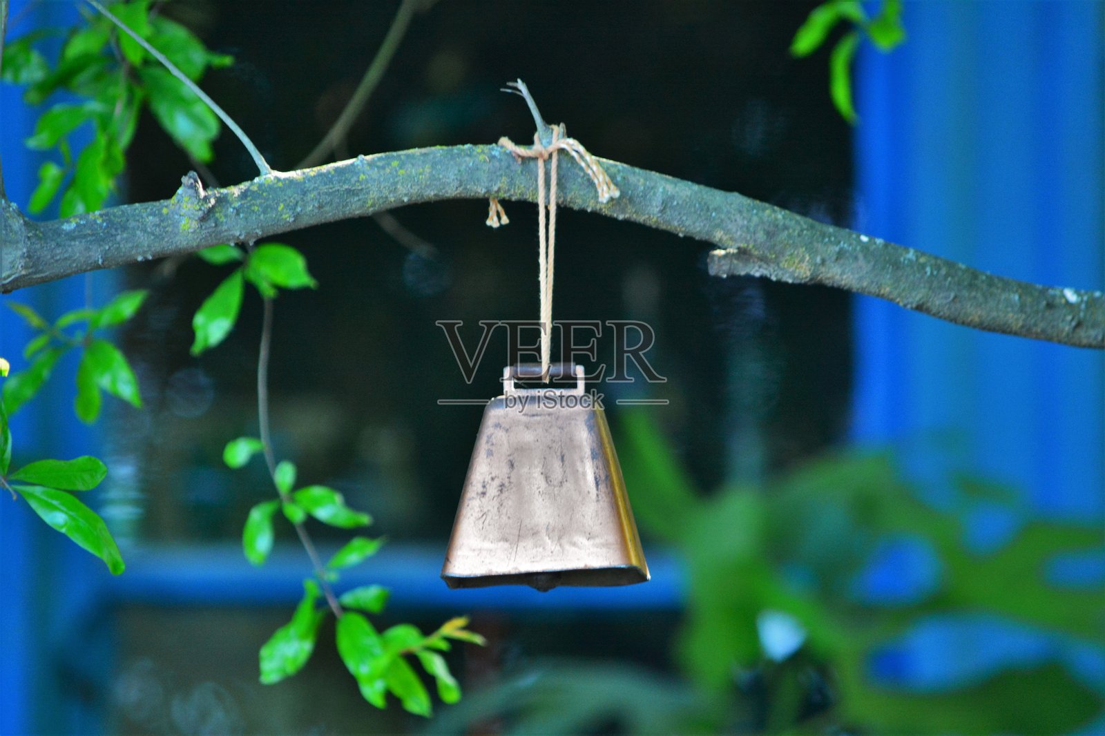 挂在树枝上的铃铛照片摄影图片