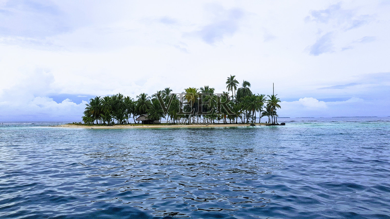 海滩上的棕榈树对着天空照片摄影图片