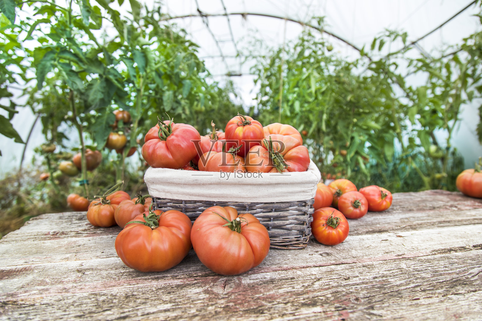 蔬菜、西红柿放在木桌上照片摄影图片