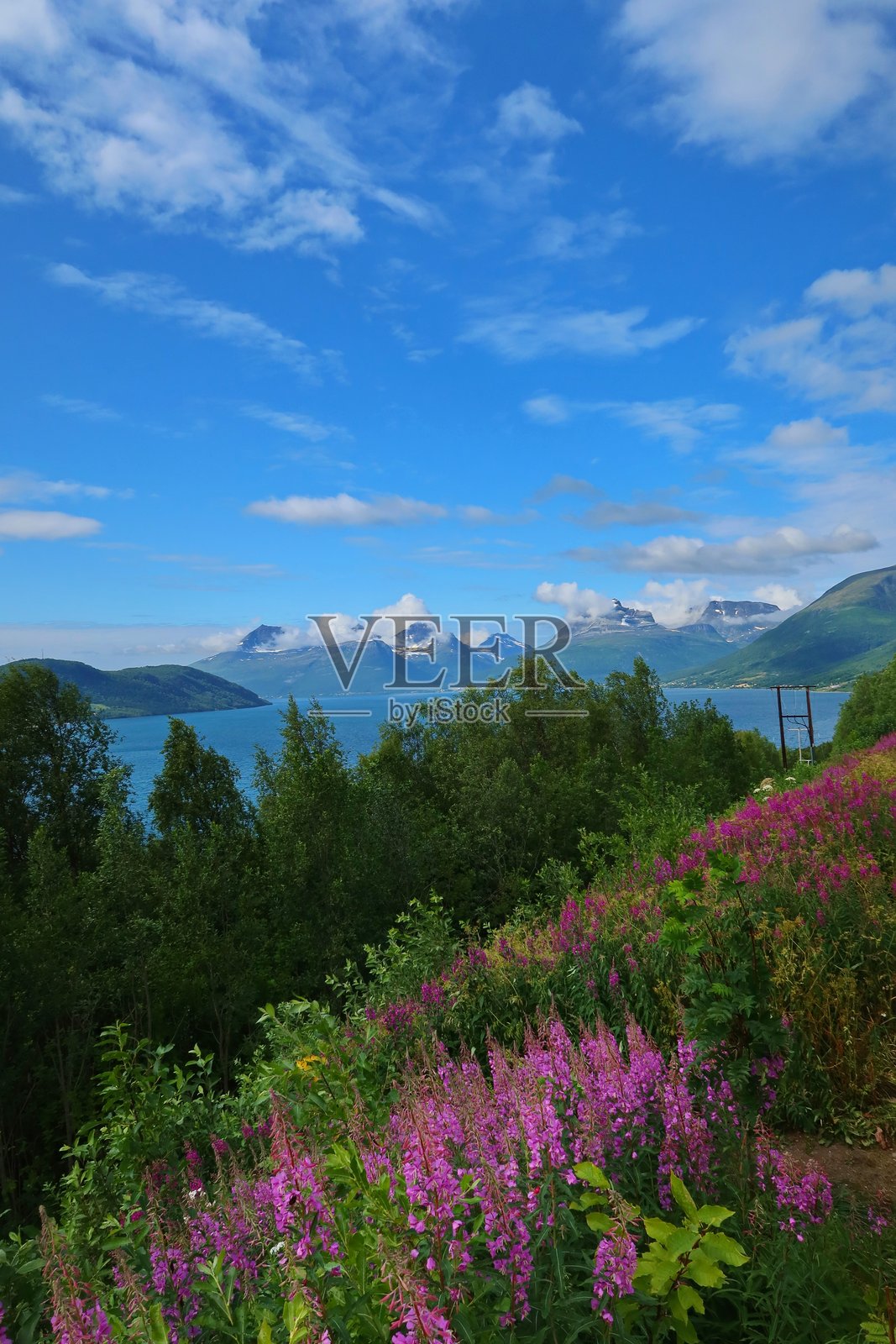 在挪威旅游照片摄影图片
