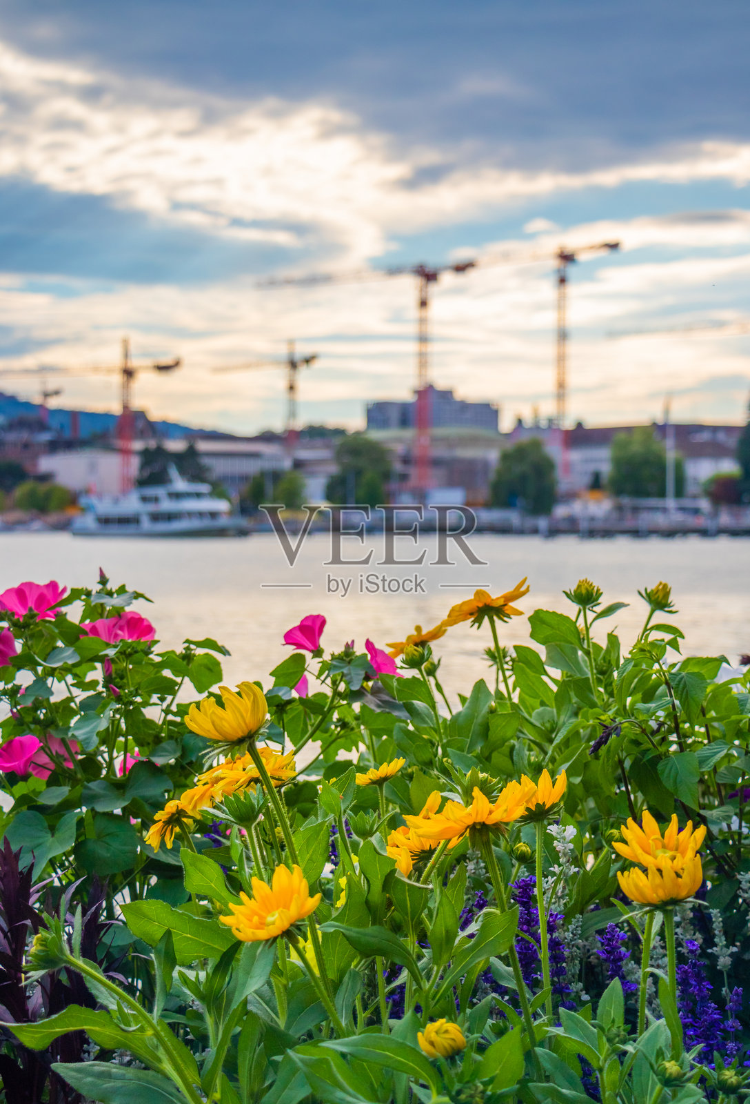 瑞士春天的苏黎世湖照片摄影图片