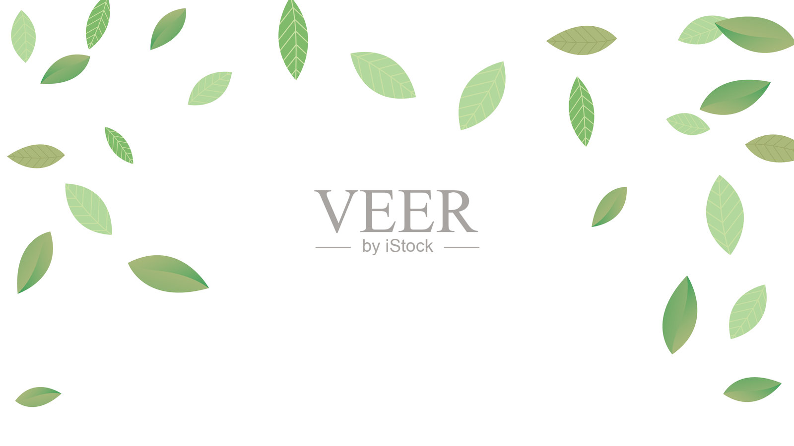 树叶新鲜矢量白色背景分支。现实叶植物。绿叶抽象壁纸。绿色有机,绿色飞叶浪,自然天插画图片素材