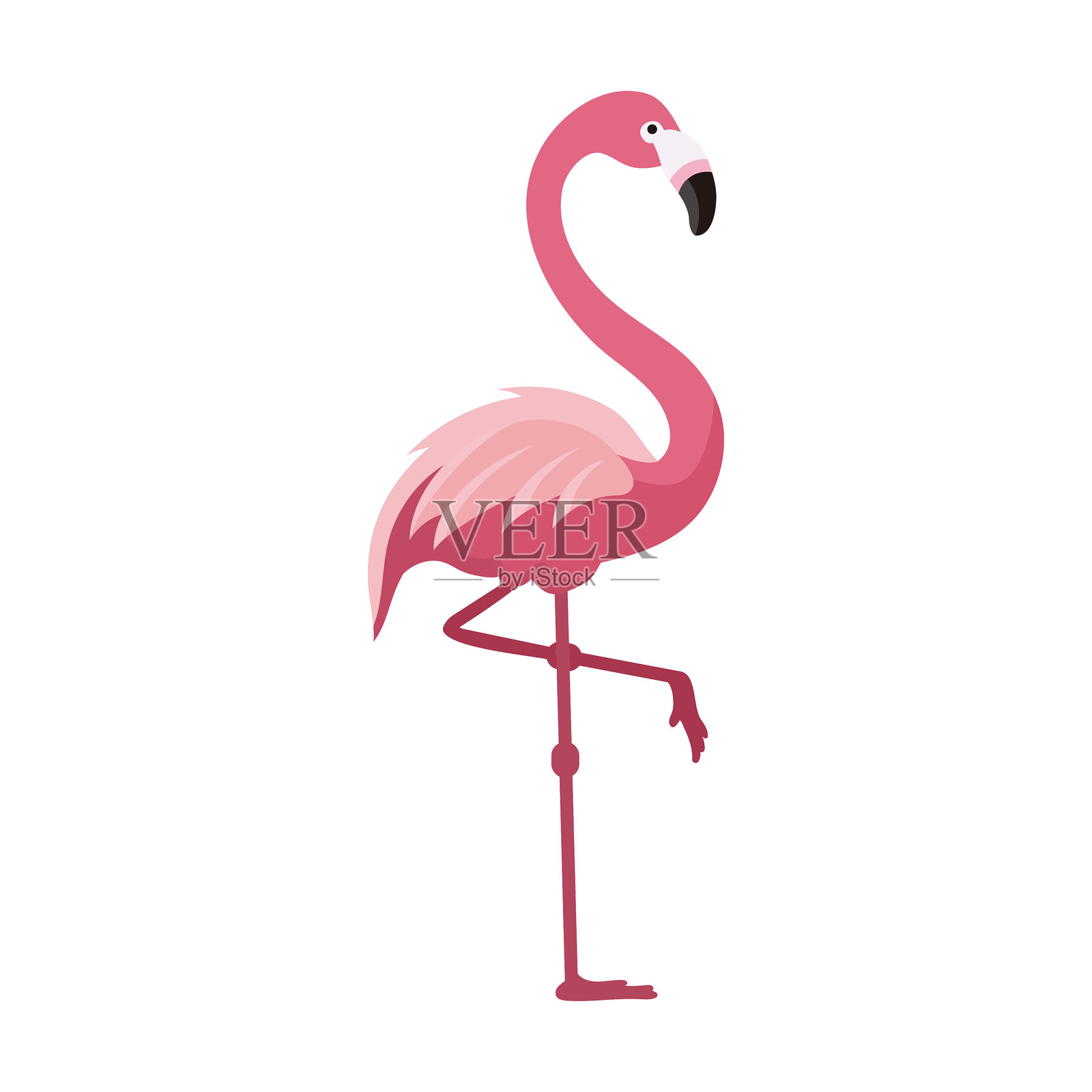 粉红色的火烈鸟单腿站立插画图片素材