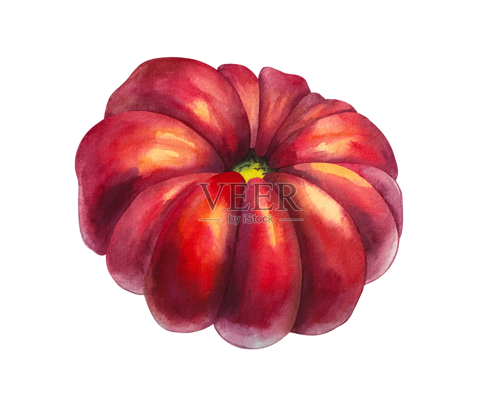 水彩番茄蔬菜手绘插画图片素材