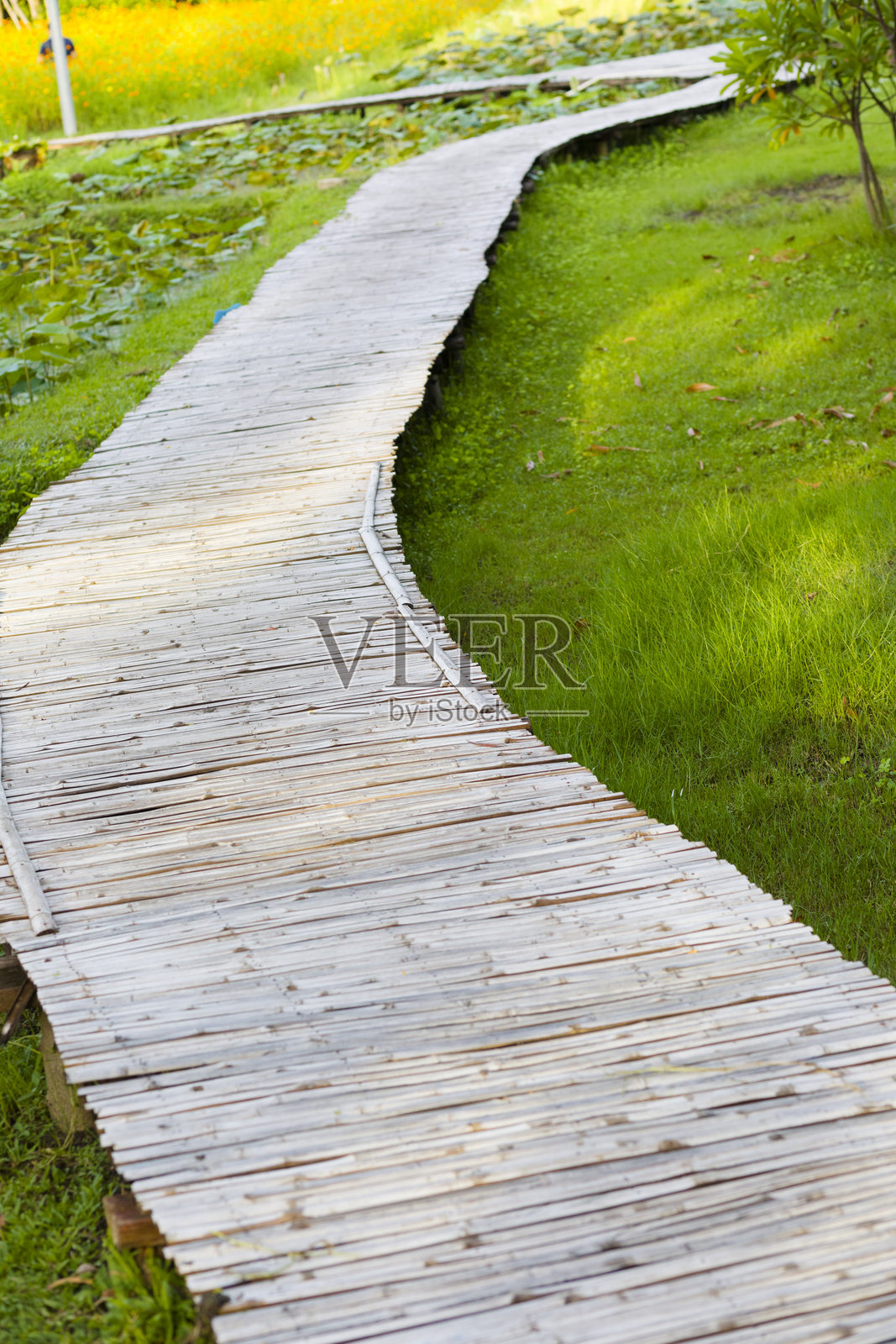 Wachirabenchathat公园的木制人行道照片摄影图片